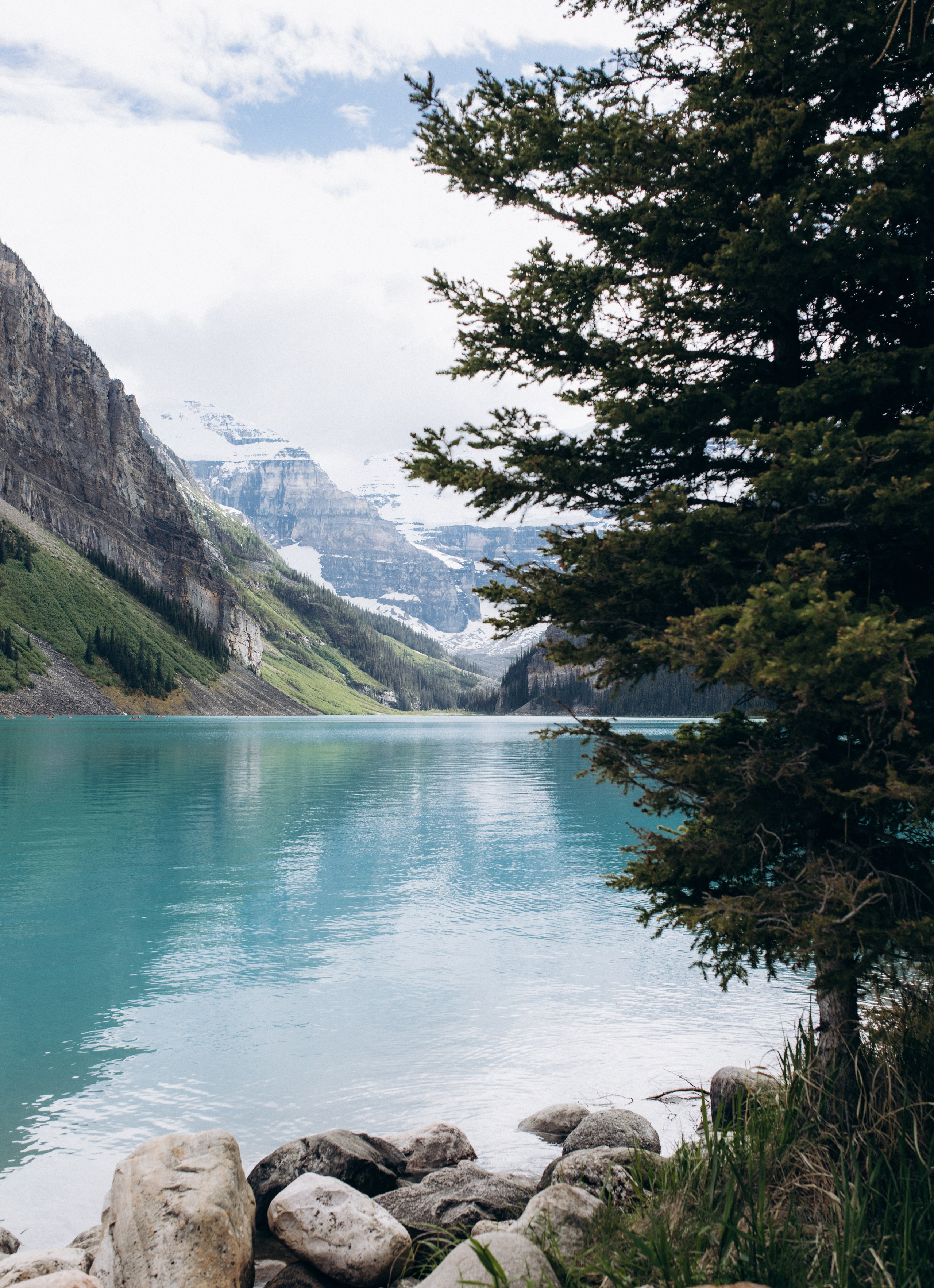 Olha & Ali. Wedding and family photographer in Calgary