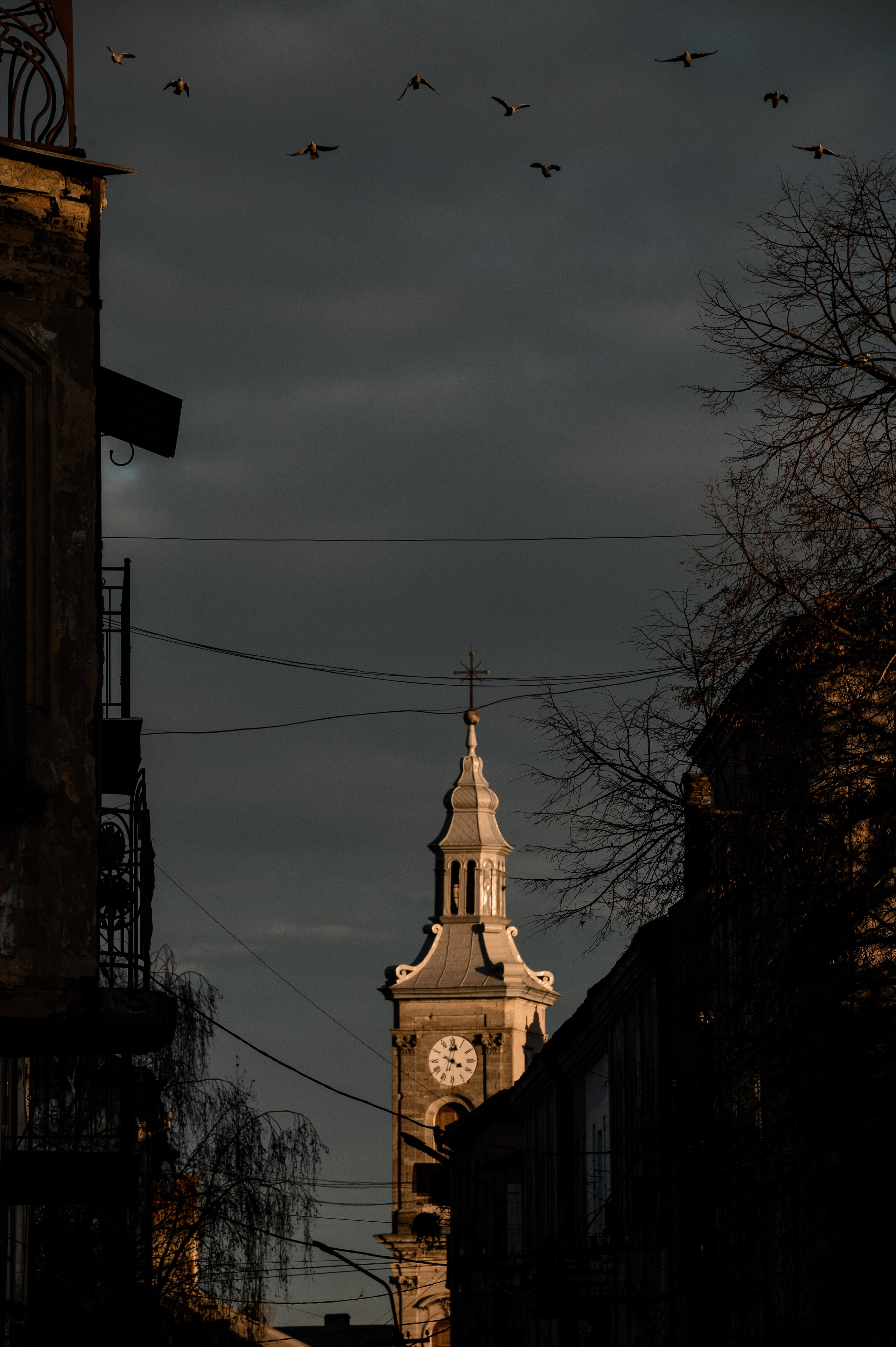 Костел Успіння Пресвятої Діви Марії (Золочів)