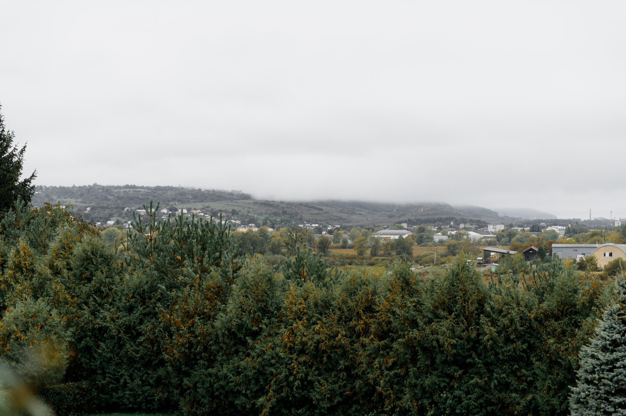 Ігор та Люба 05.10.2024. Фотограф Роман Жосу Золочів