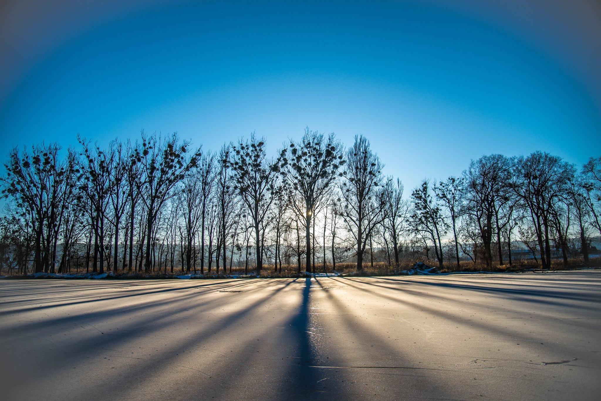 Золочів. Фотограф Роман Жосу Золочів