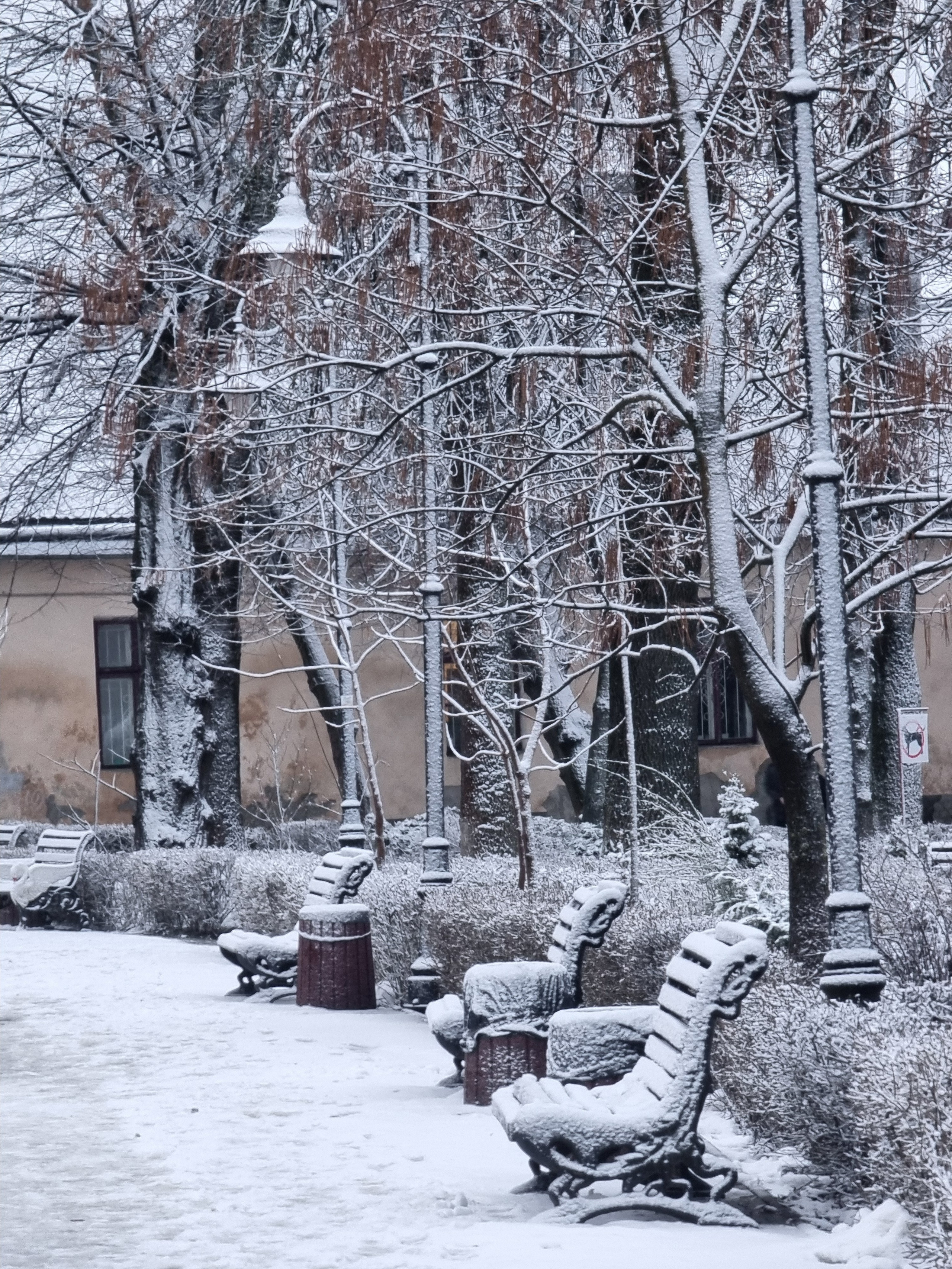 Золочів. Фотограф Роман Жосу Золочів