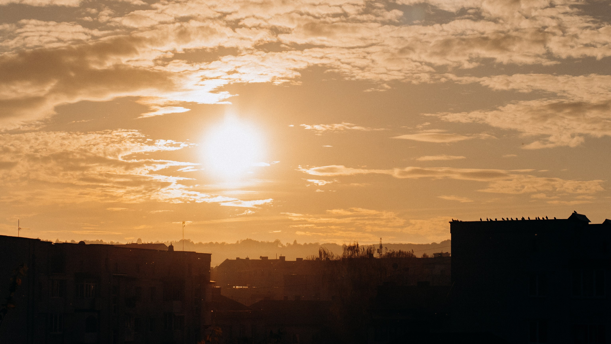 Золочів. Фотограф Роман Жосу Золочів