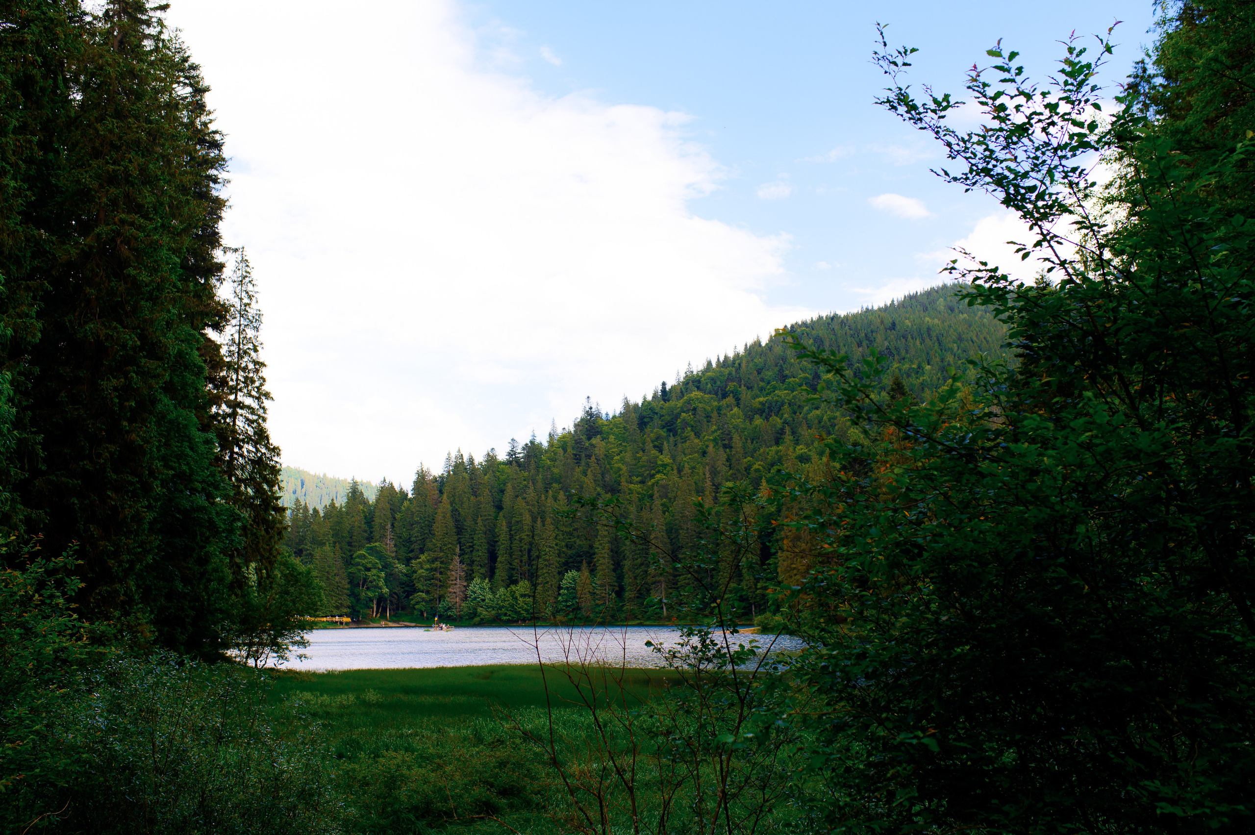 Оксана і Тарас 04.07.2023. Фотограф Роман Жосу Золочів