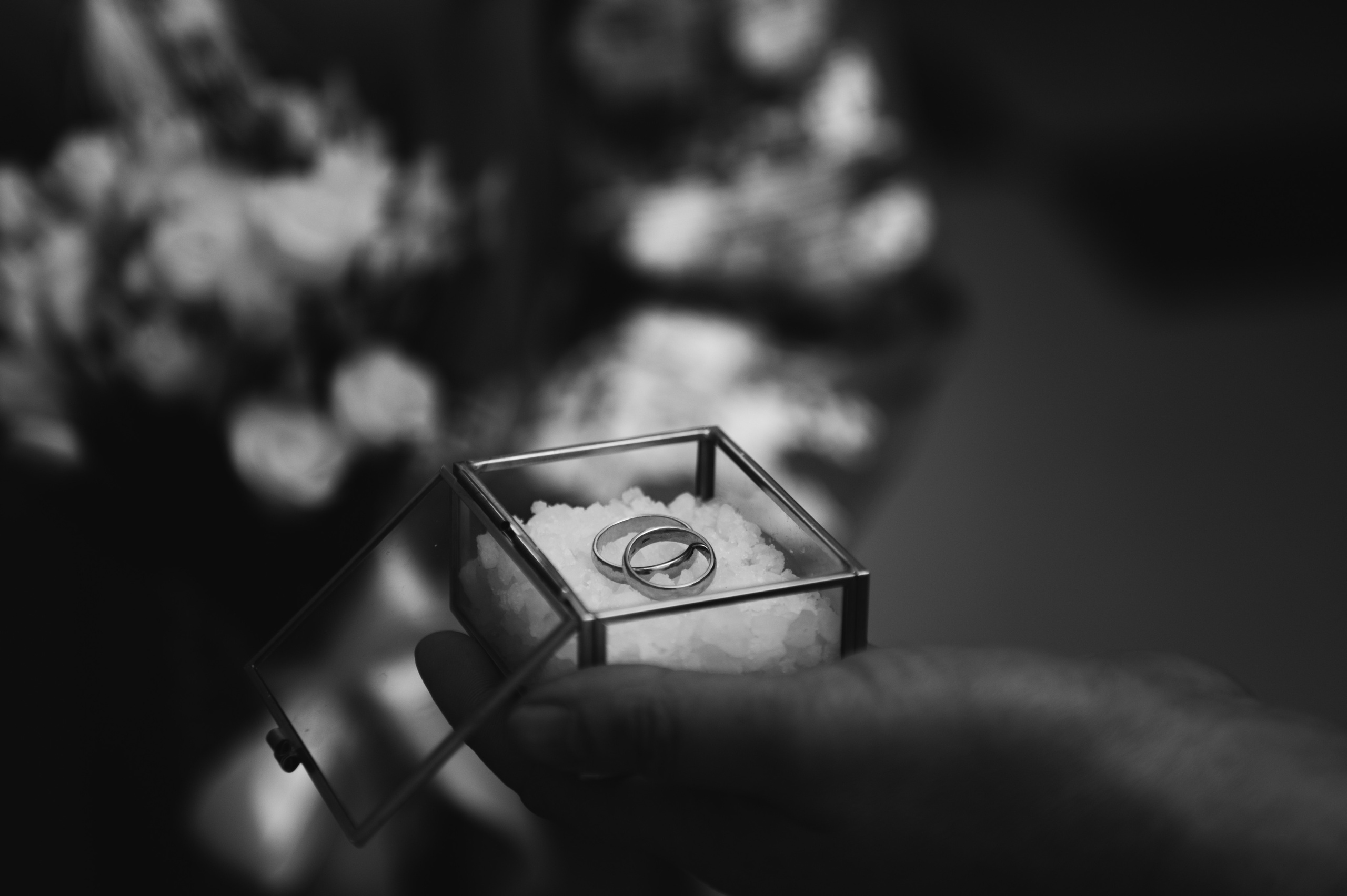 Наречені. Розписка в РАЦСі і прогулянкова фотосесія. Фотограф Роман Жосу Золочів