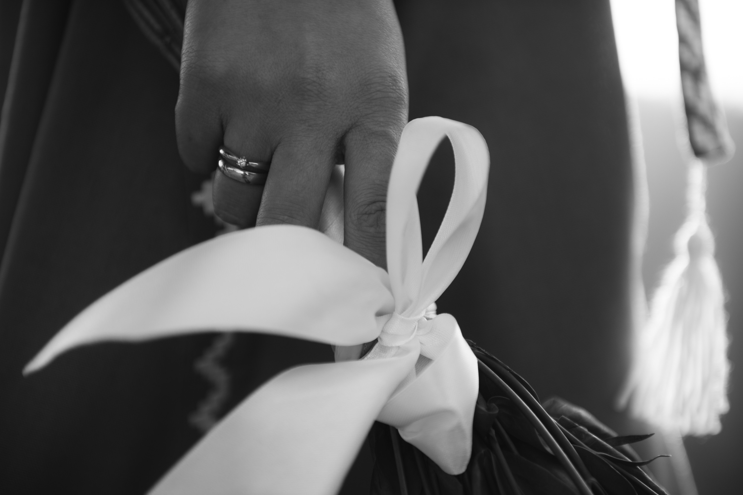 Наречені. Розписка в РАЦСі і прогулянкова фотосесія. Фотограф Роман Жосу Золочів