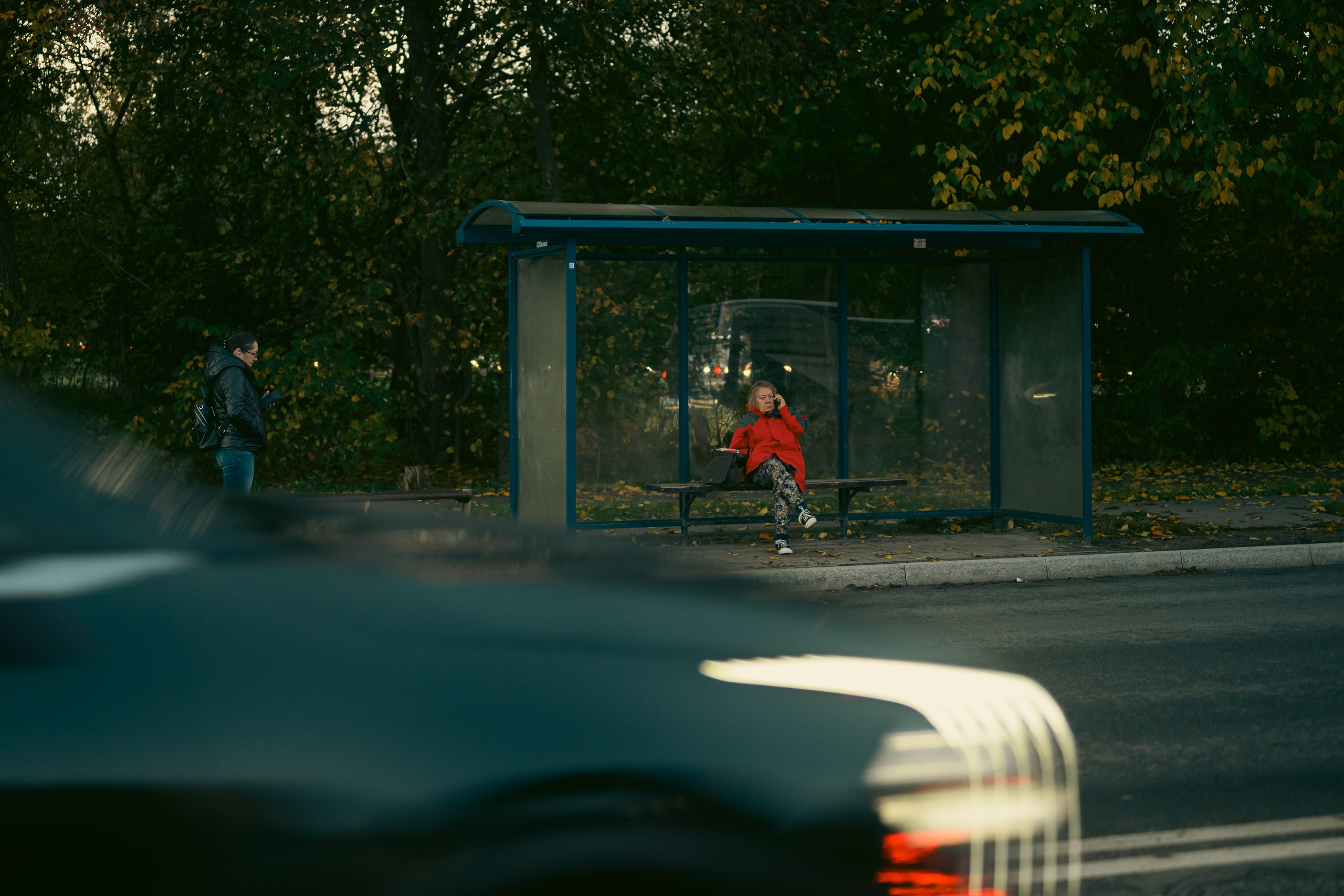 Pakeliui namo. Fotografas — Aleksandras Savickis