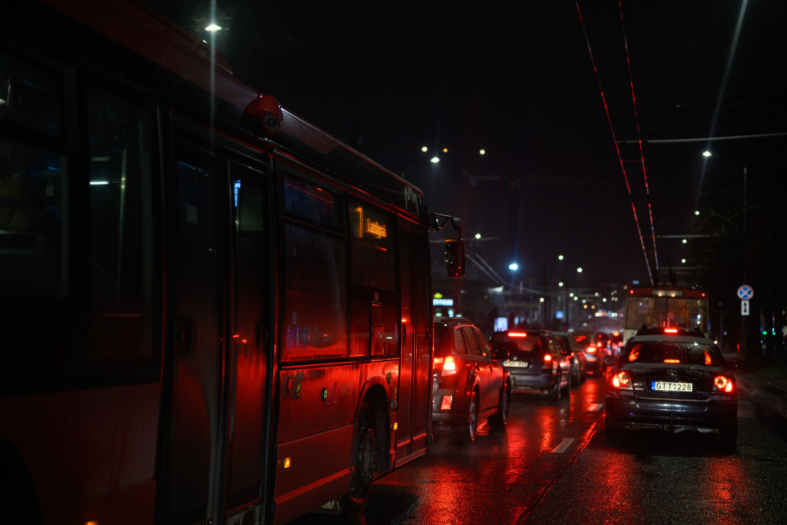 Pakeliui namo. Fotografas — Aleksandras Savickis