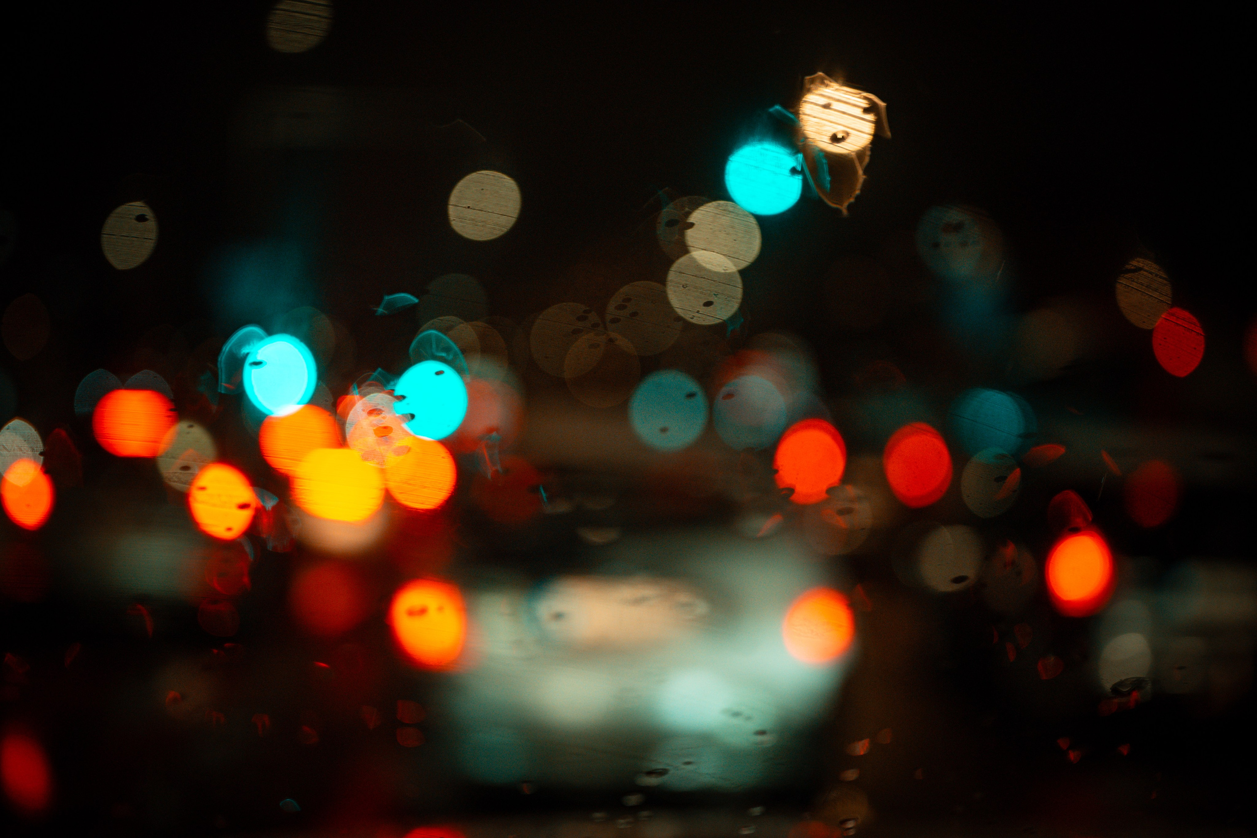 Pakeliui namo. Fotografas — Aleksandras Savickis