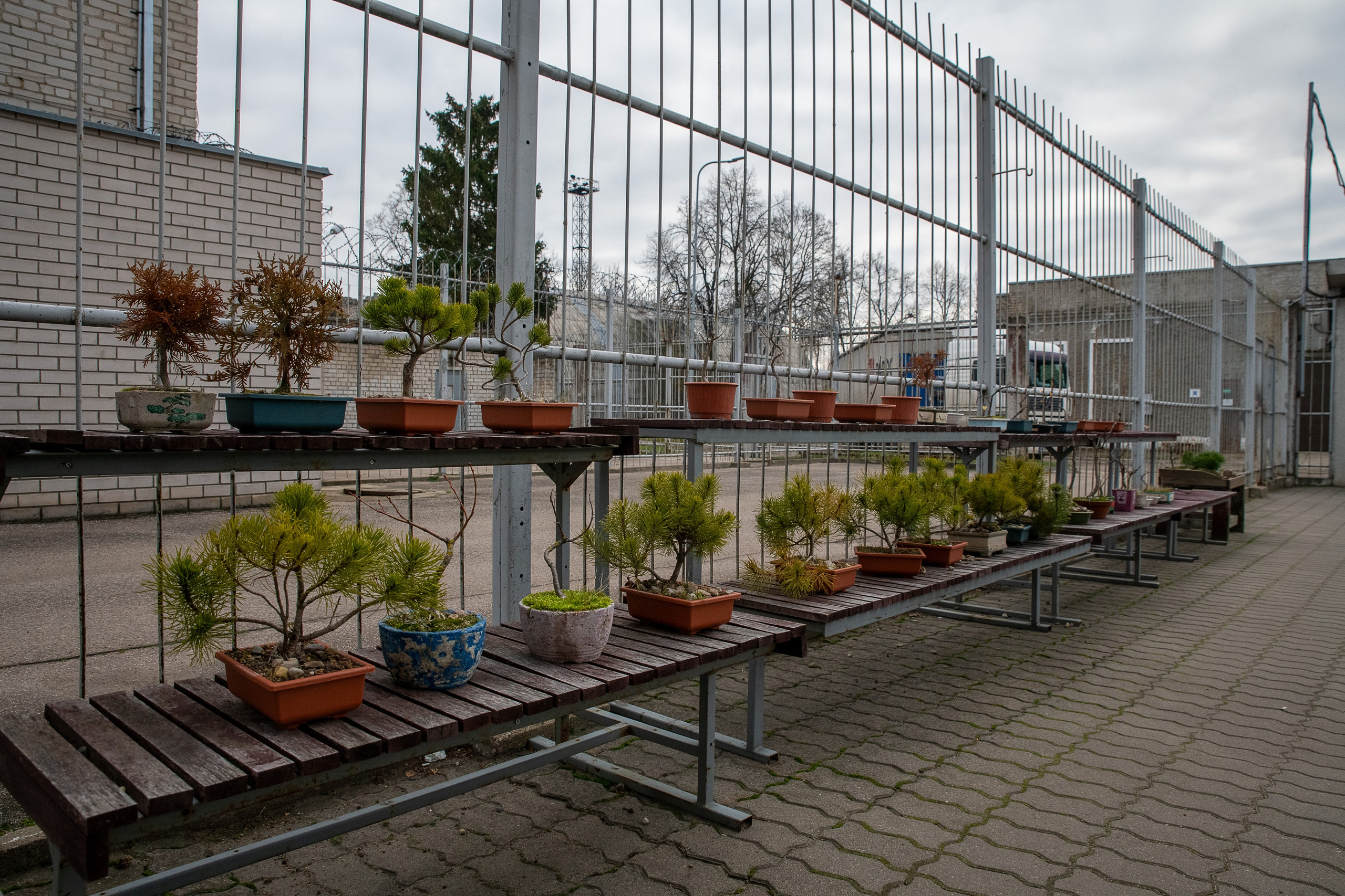 Už grotų: Pravieniškių kasdienybė be veidų. Fotografas — Aleksandras Savickis