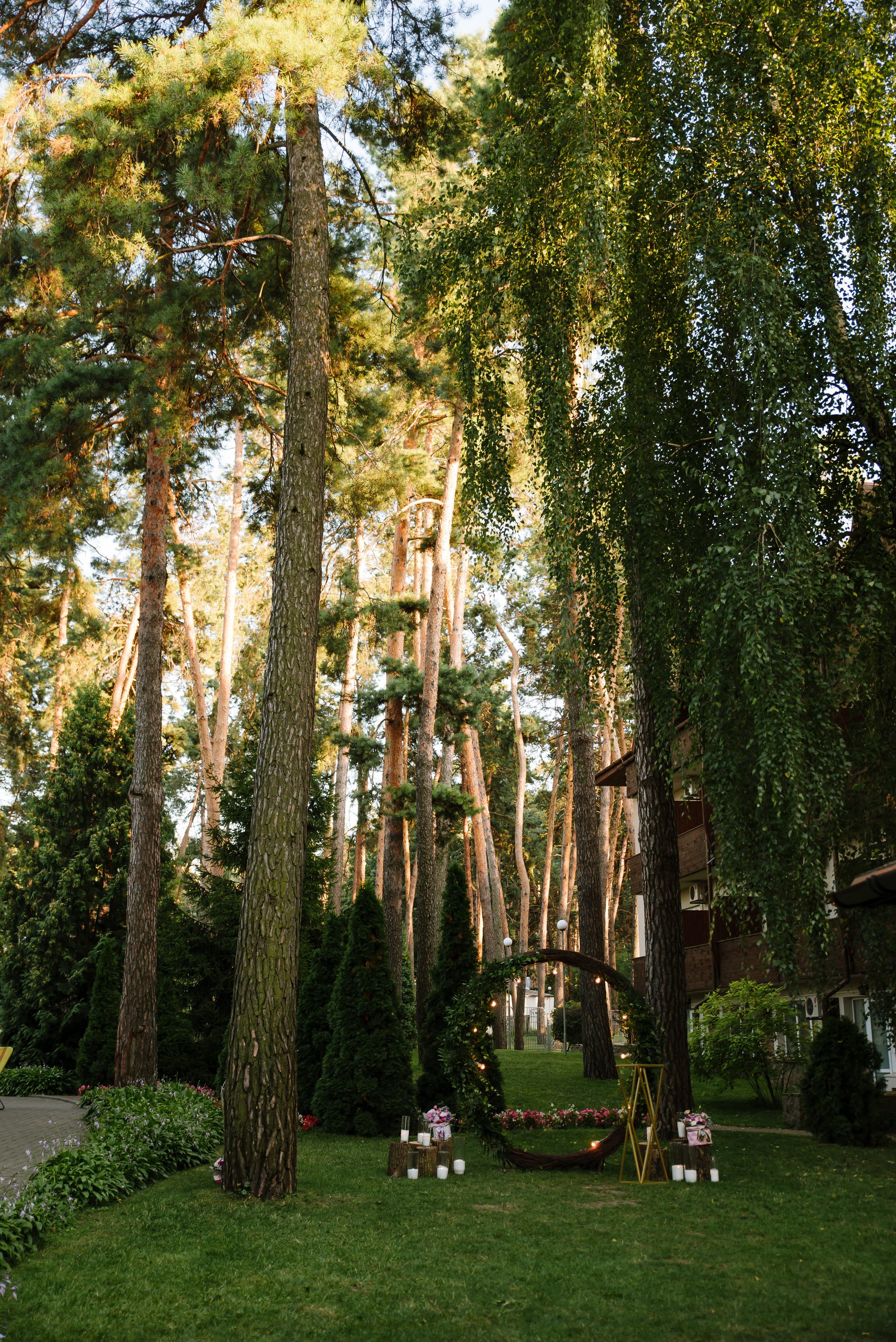 Лена и Артем. Фотограф Олександр Демиденко