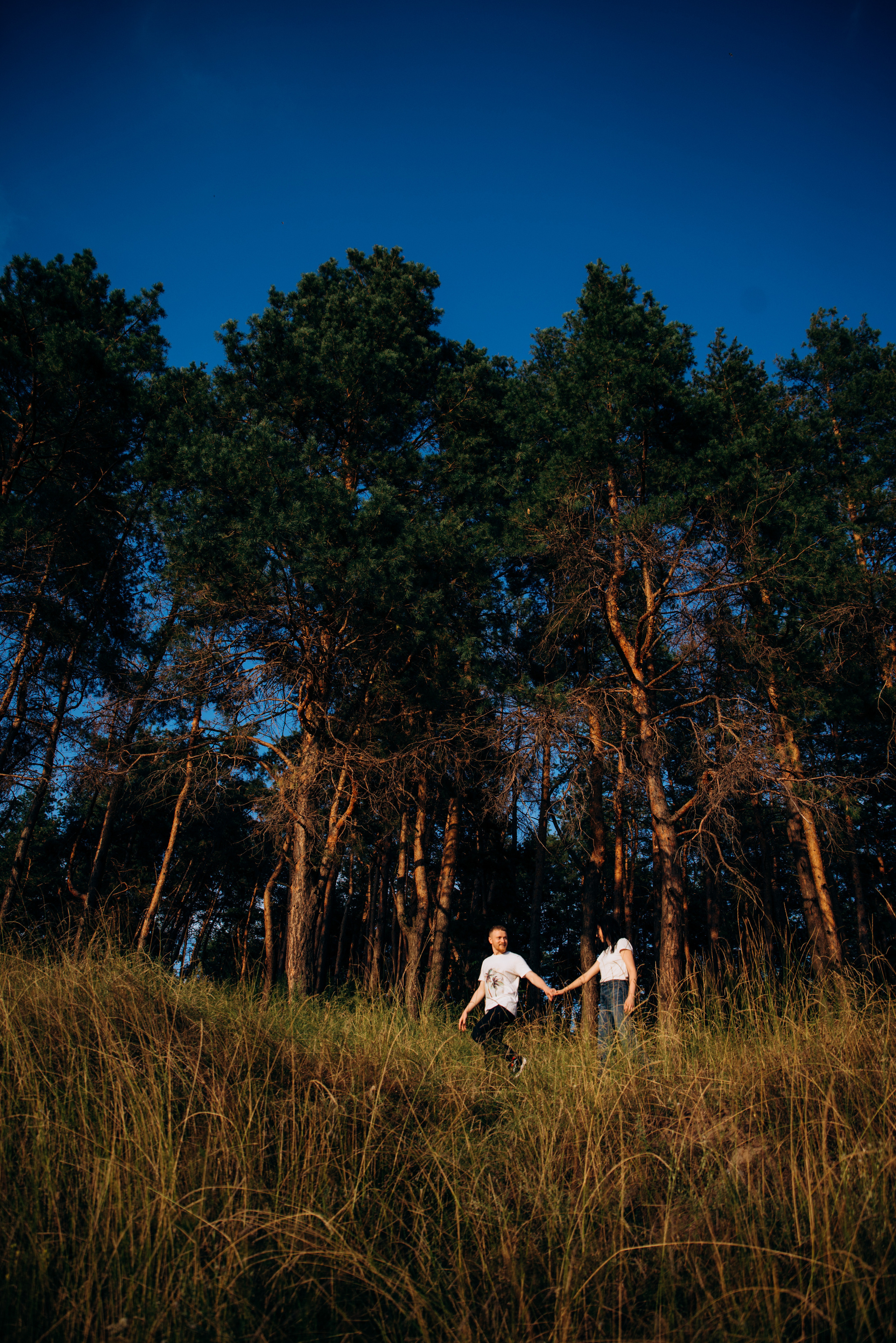 Сонячний день. Фотограф Олександр Демиденко