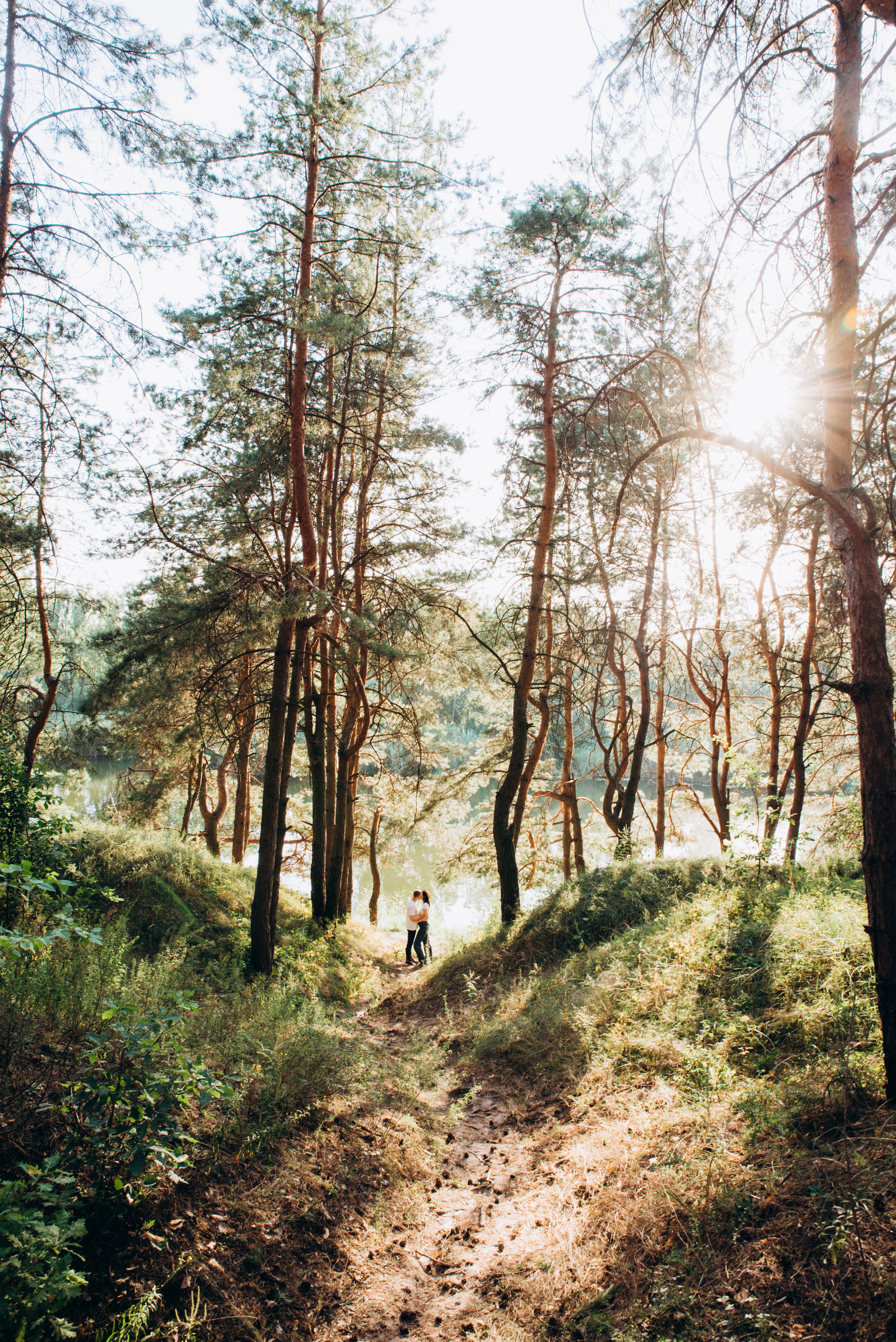 Сонячний день. Фотограф Олександр Демиденко