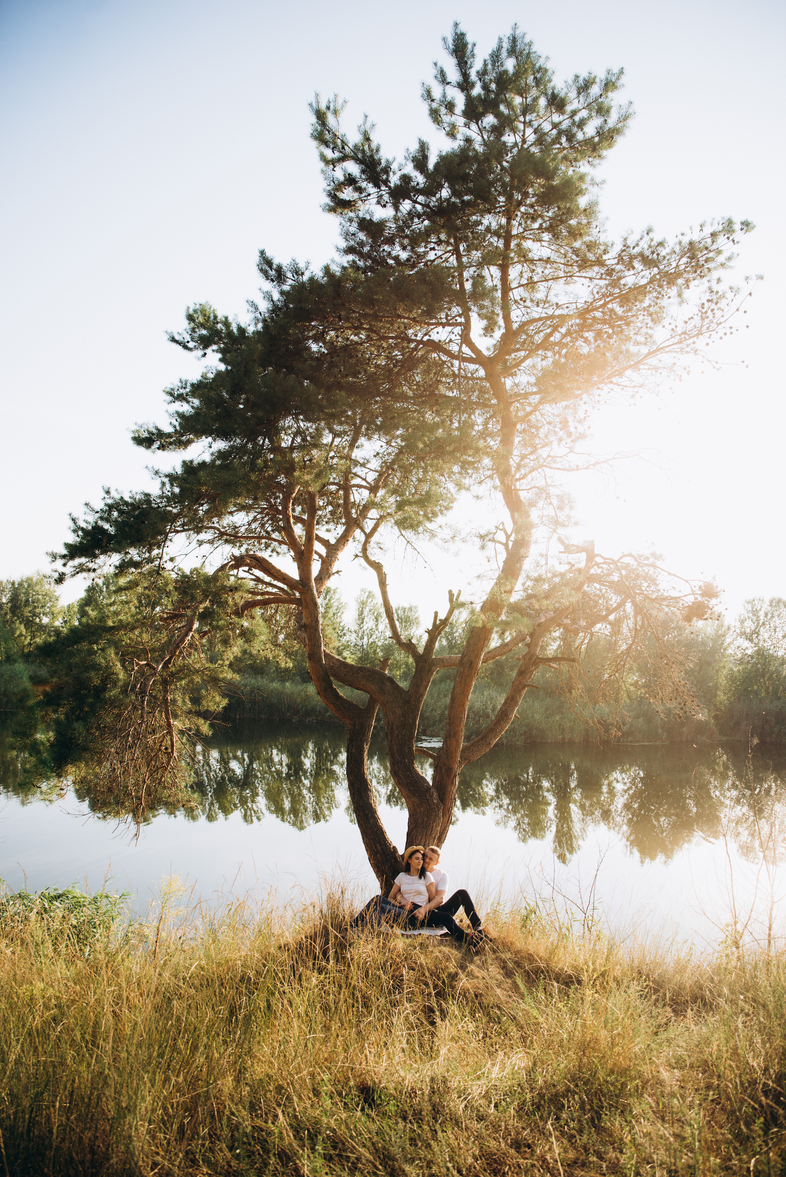 Сонячний день. Фотограф Олександр Демиденко