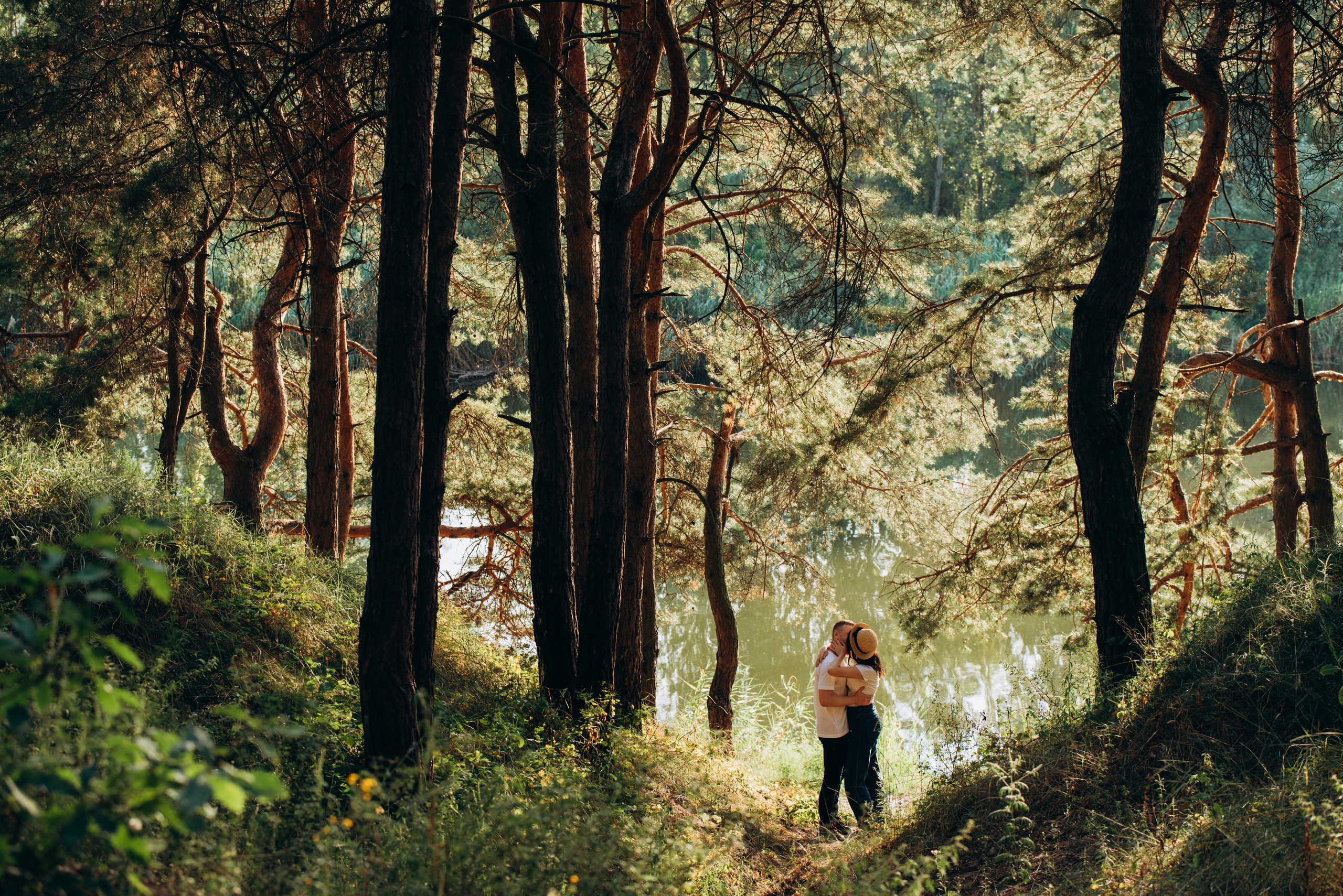 Сонячний день. Фотограф Олександр Демиденко