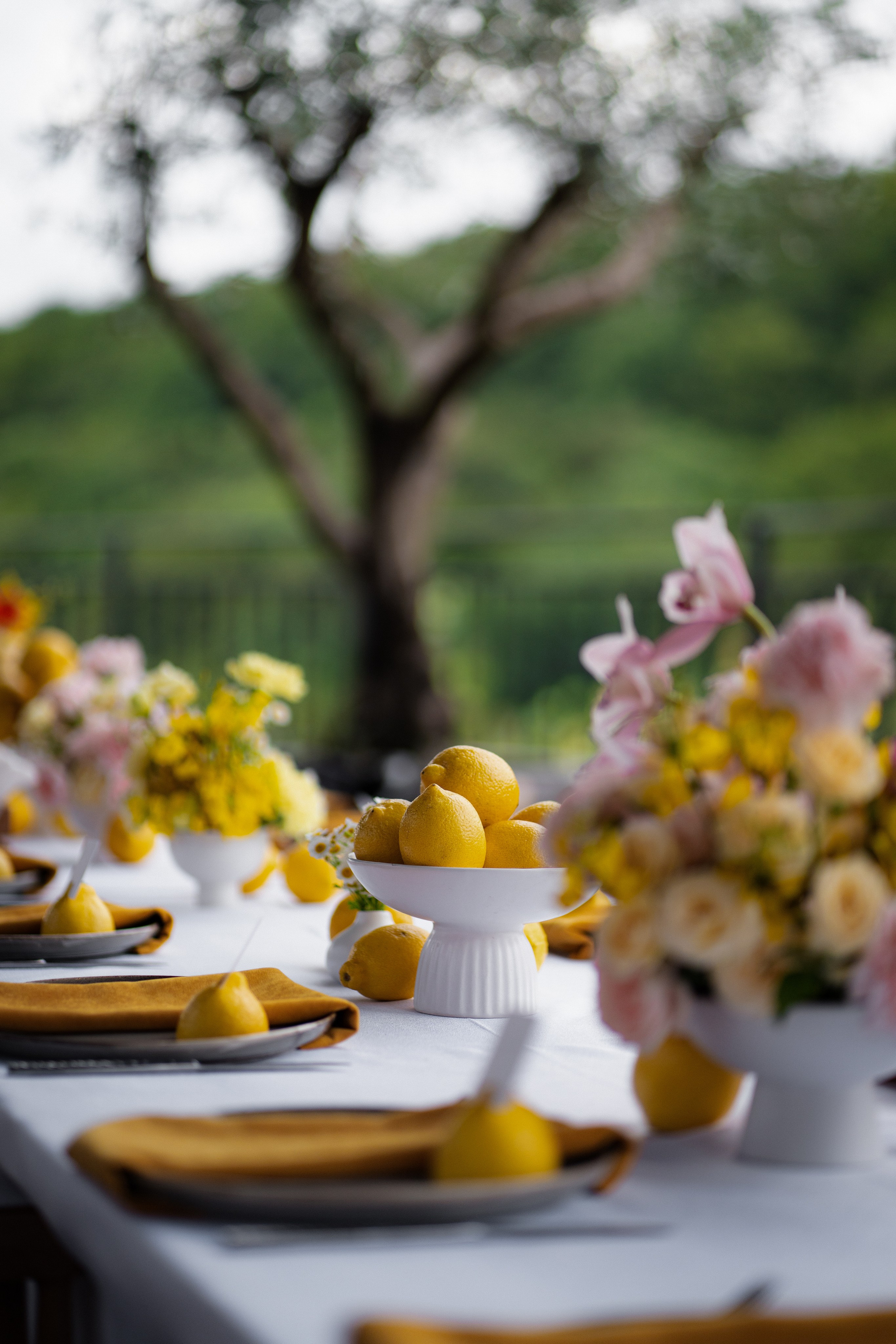 IVANNA-MARIA. Your personal photographer 📸