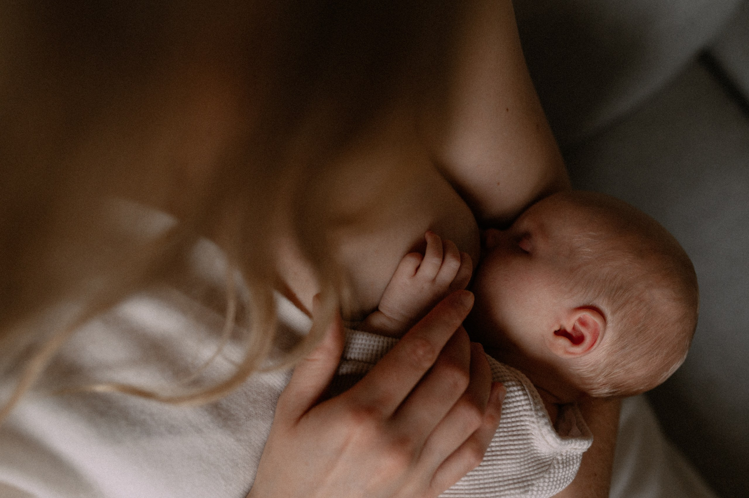 Little Rowah. Newborn, Family, Wedding photographer Copenhagen Anastasiia Sevriukova