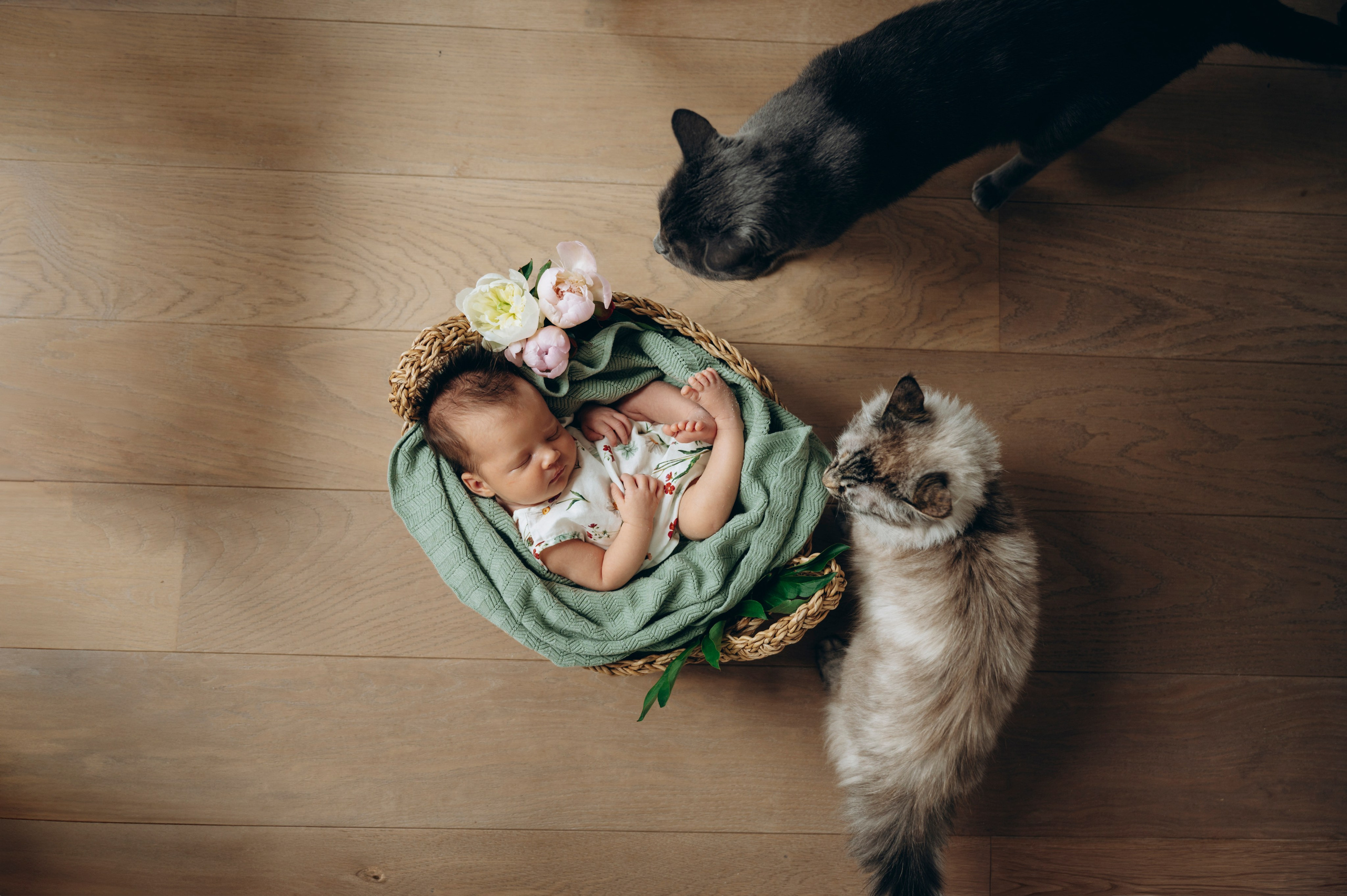 Little Mabel. Newborn, Family, Wedding photographer Copenhagen Anastasiia Sevriukova