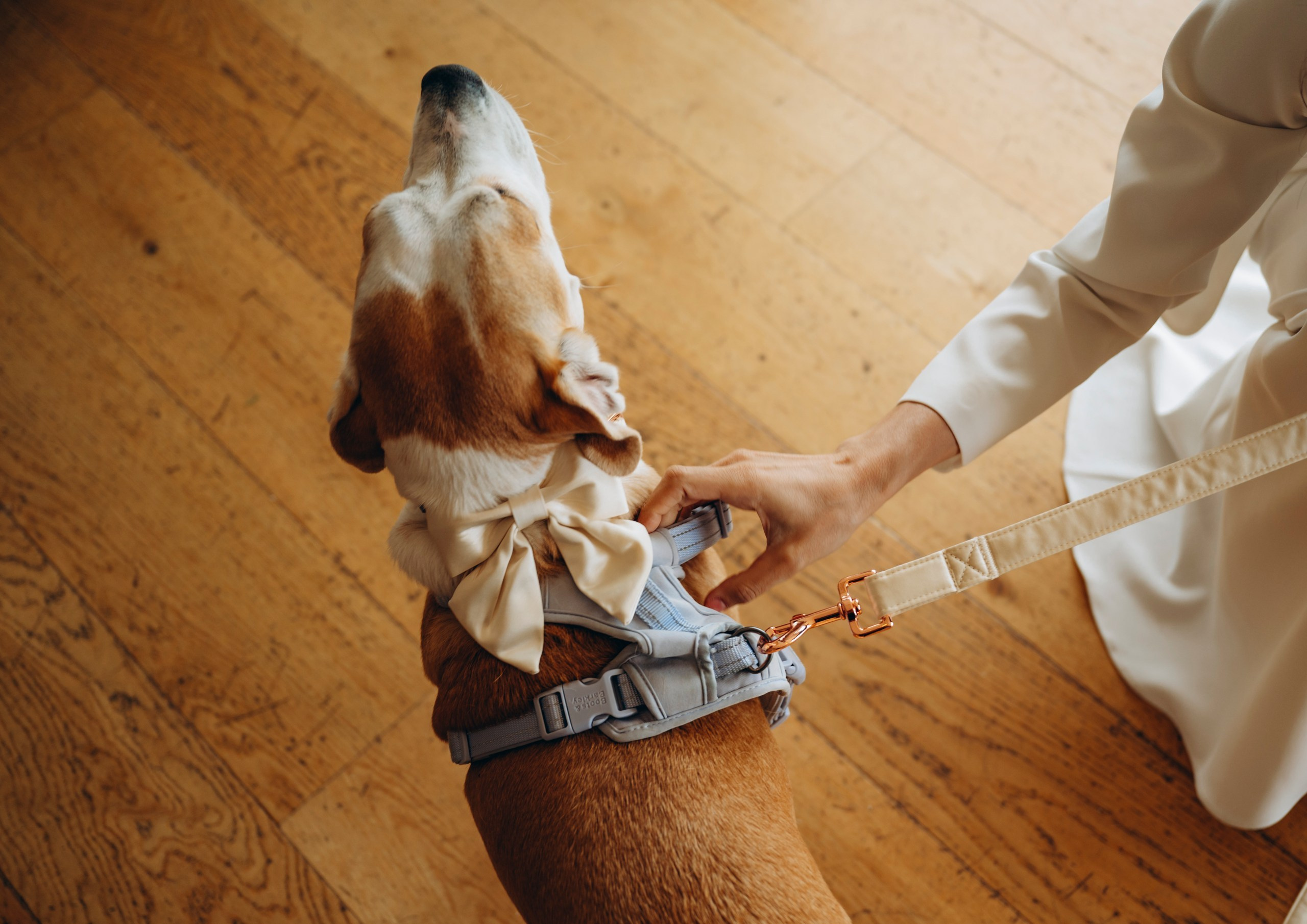 SILVIA & SAMUEL. Newborn, Family, Wedding photographer Copenhagen Anastasiia Sevriukova