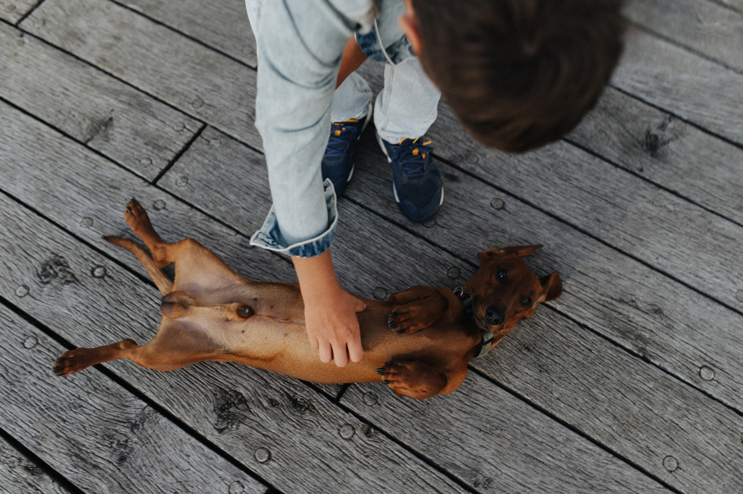 Family photosession Copenhagen. Newborn, Family, Wedding photographer Copenhagen Anastasiia Sevriukova