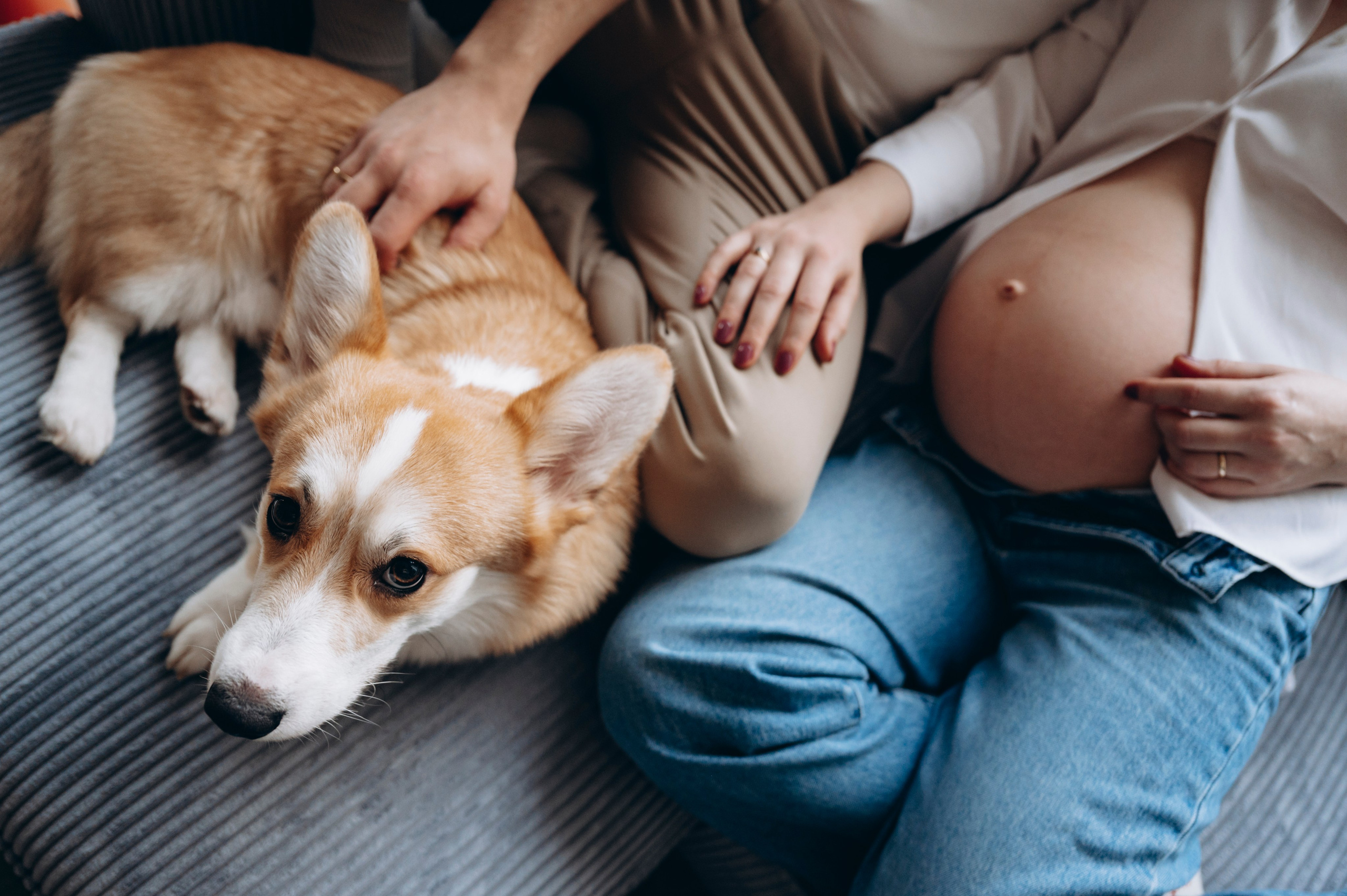 Anna & Kacper — Christmas miracle. Newborn, Family, Wedding photographer Copenhagen Anastasiia Sevriukova