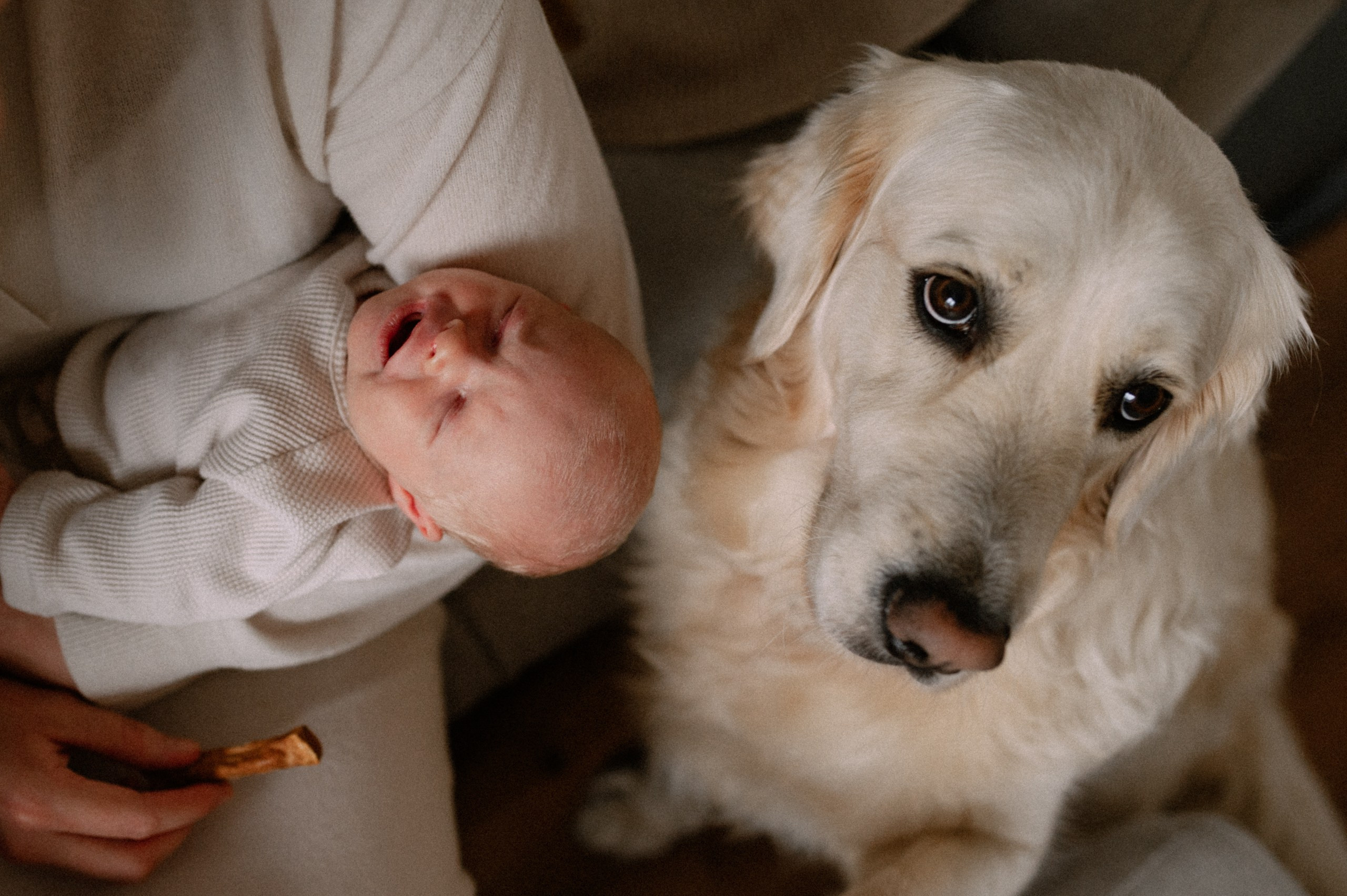 Little Rowah. Newborn, Family, Wedding photographer Copenhagen Anastasiia Sevriukova