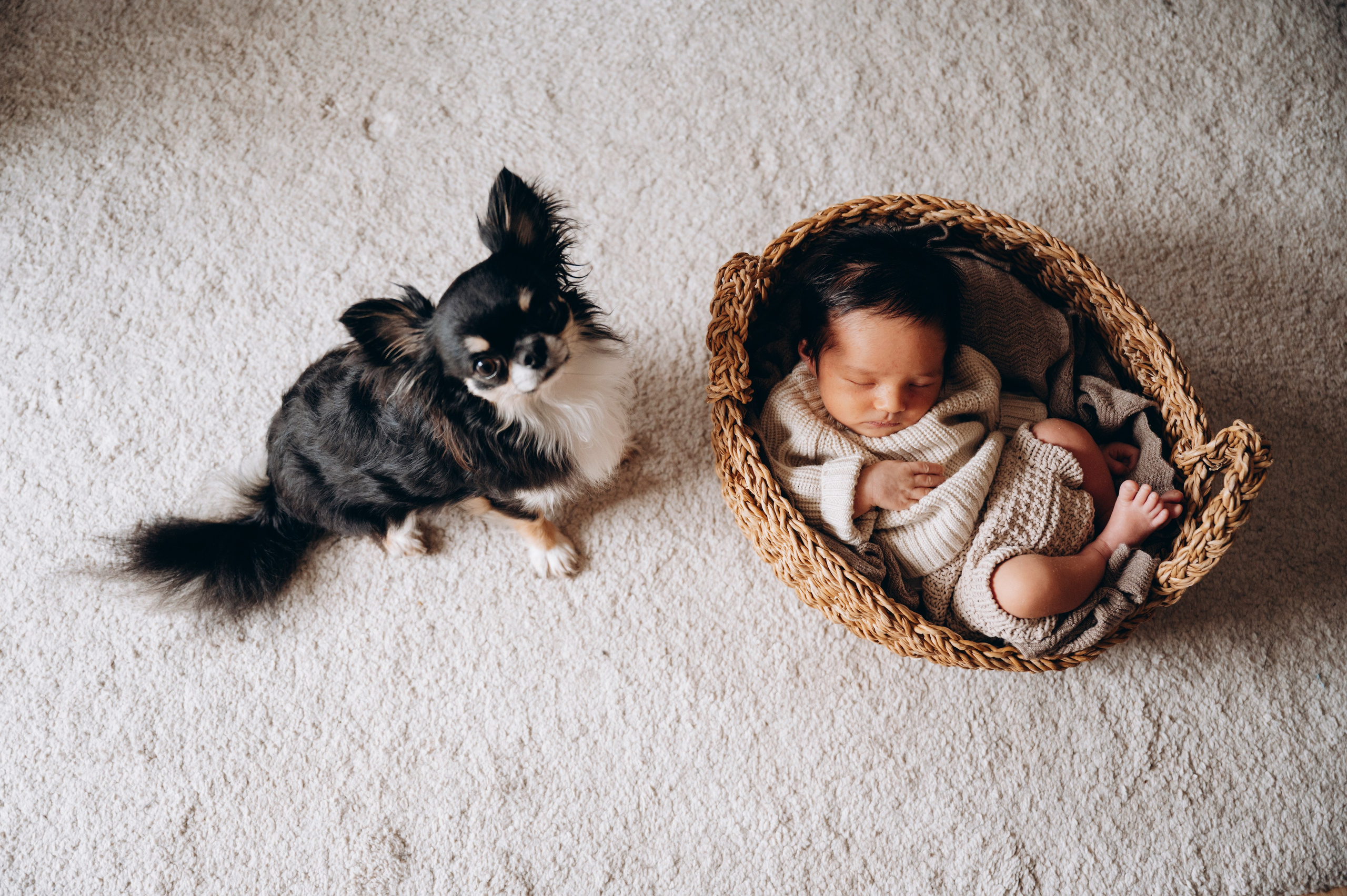 Little Tristan. Newborn, Family, Wedding photographer Copenhagen Anastasiia Sevriukova