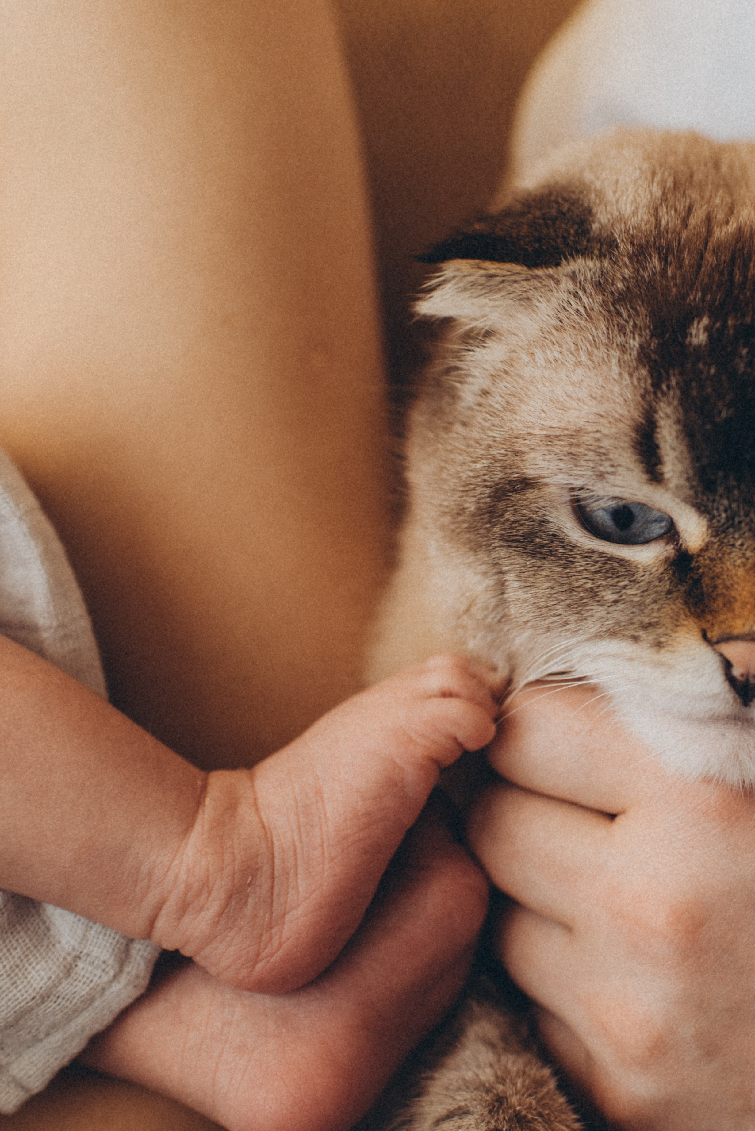 Leonard. Newborn, Family, Wedding photographer Copenhagen Anastasiia Sevriukova