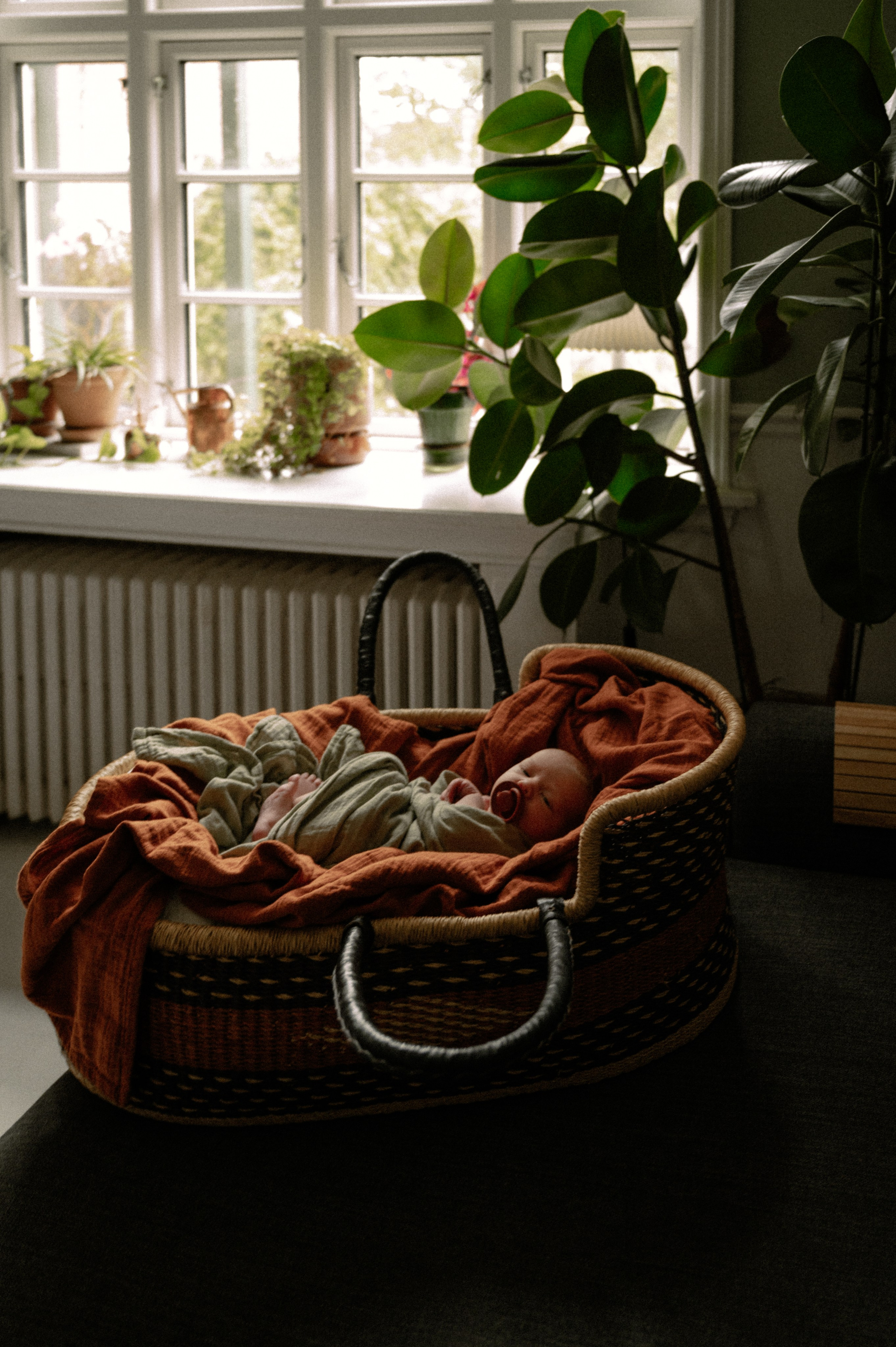 Baby Karl. Nyfødt, Familie, Bryllupsfotograf Copenhagen Anastasiia Sevriukova