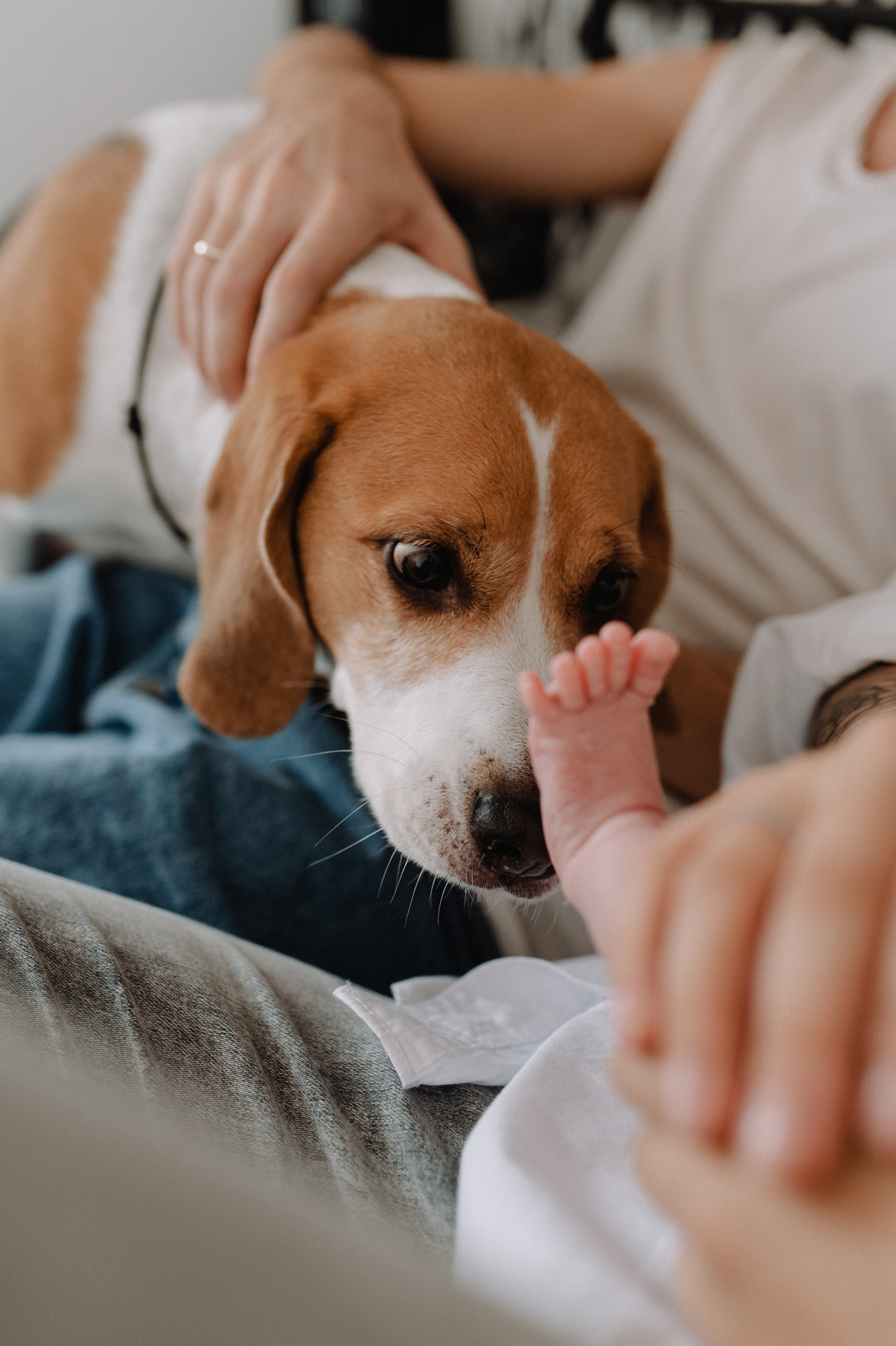 Leya. Nyfødt, Familie, Bryllupsfotograf Copenhagen Anastasiia Sevriukova