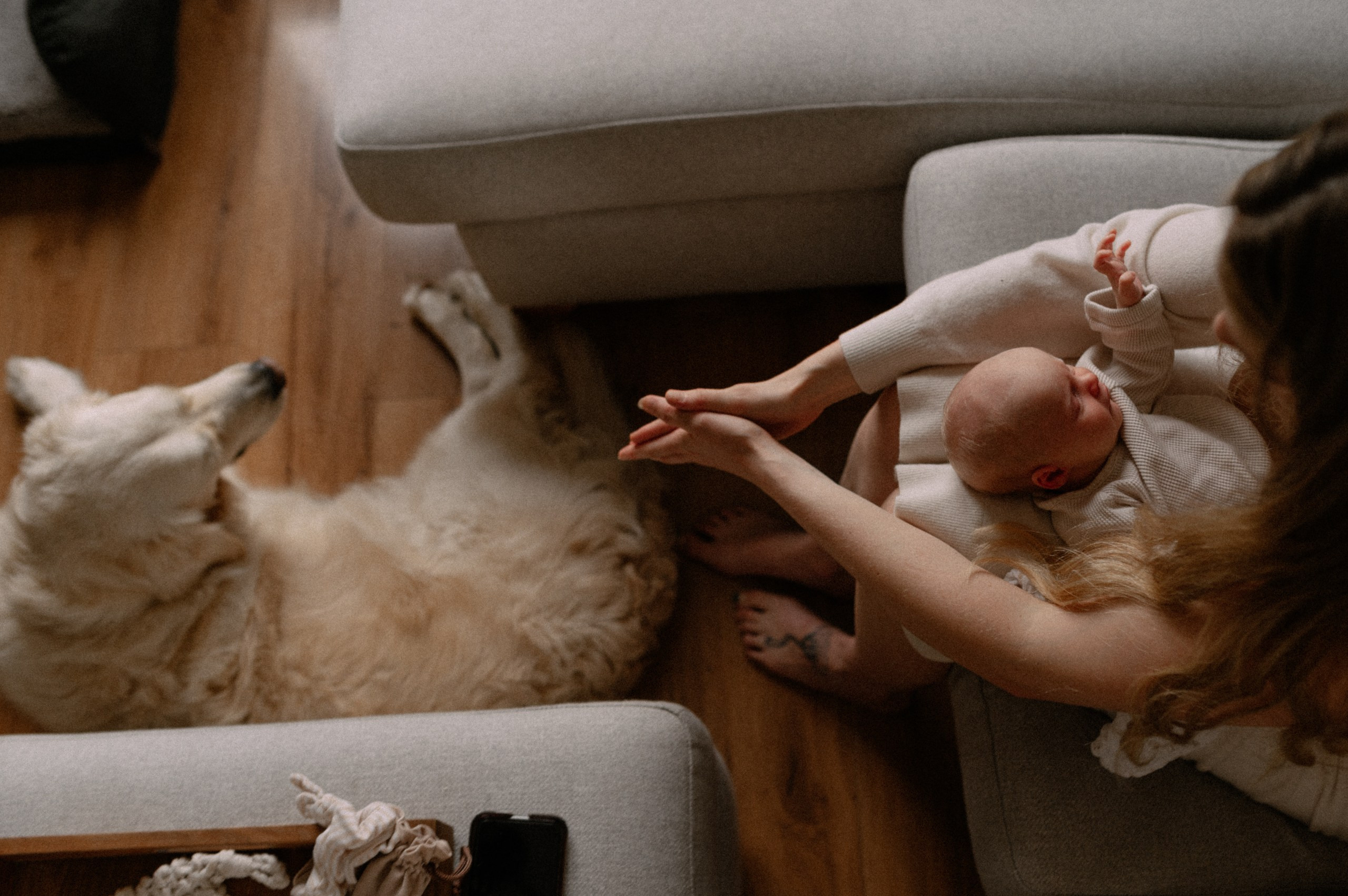 Little Rowah. Newborn, Family, Wedding photographer Copenhagen Anastasiia Sevriukova