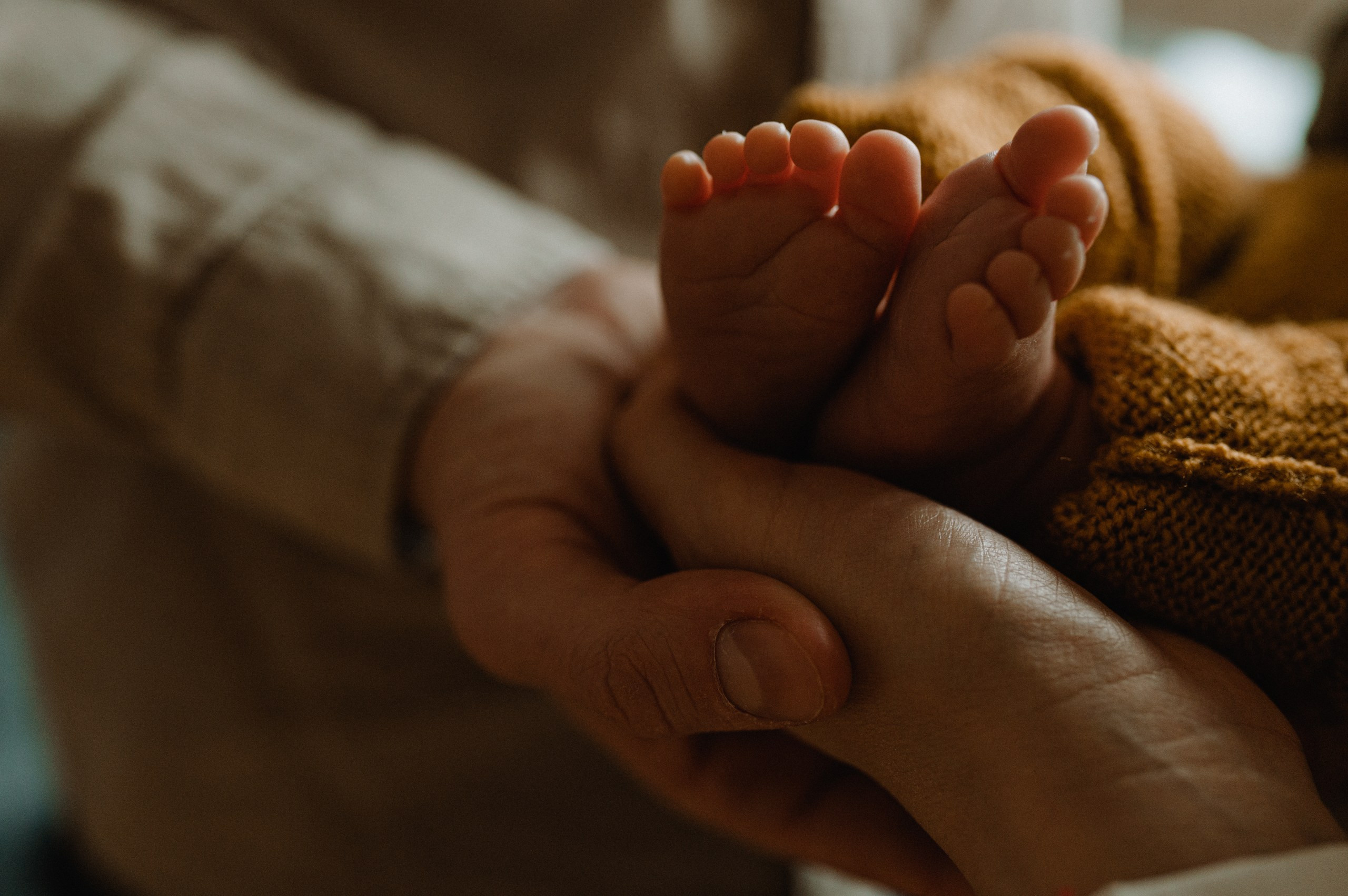 Baby Noah. Newborn, Family, Wedding photographer Copenhagen Anastasiia Sevriukova