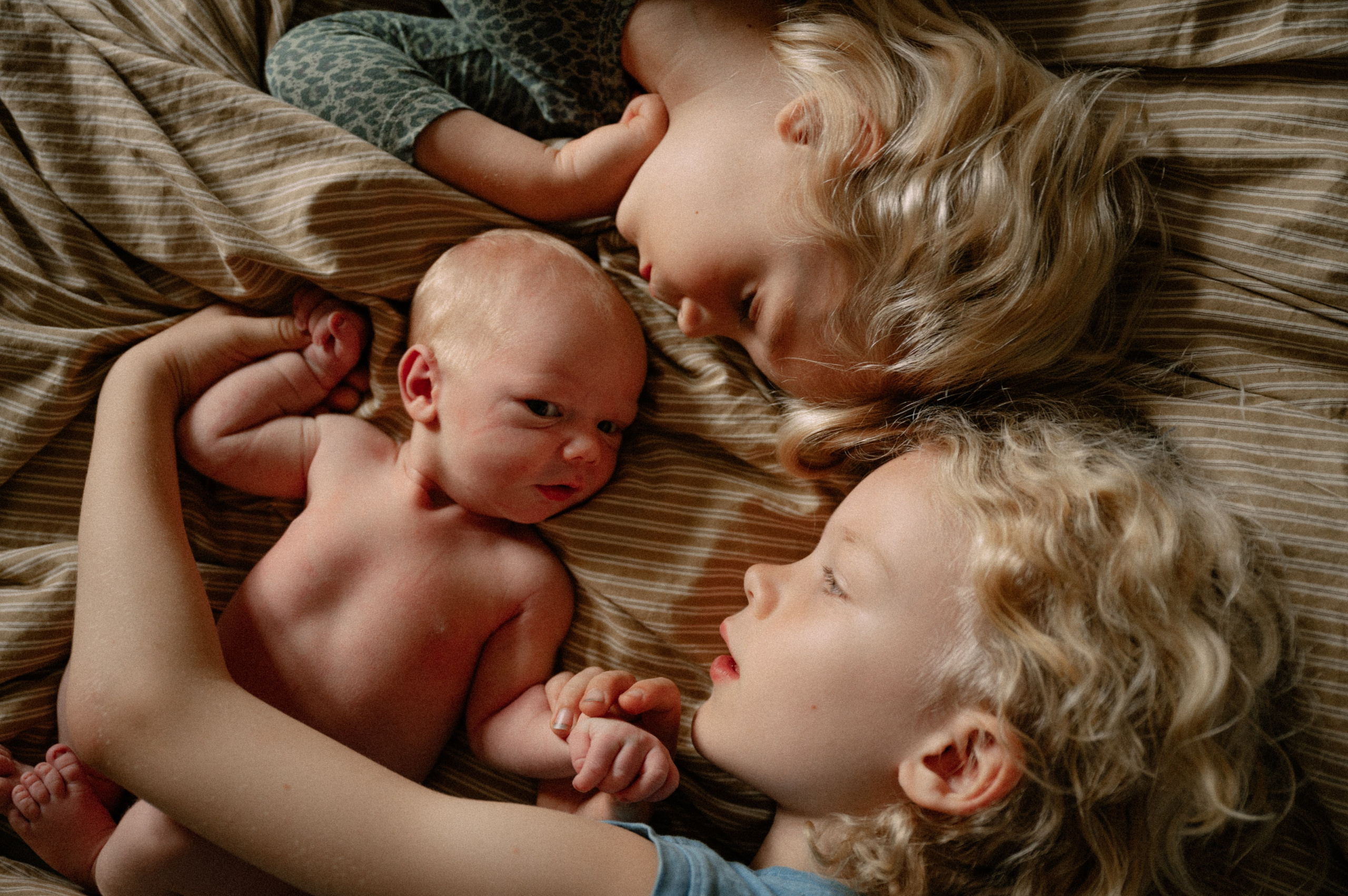 Baby Karl. Nyfødt, Familie, Bryllupsfotograf Copenhagen Anastasiia Sevriukova