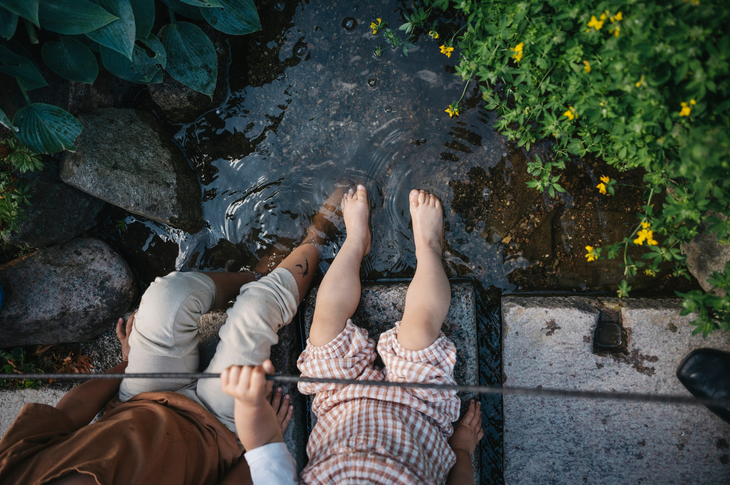 Linda, Steve, Reggie & Gigi. Nyfødt, Familie, Bryllupsfotograf Copenhagen Anastasiia Sevriukova