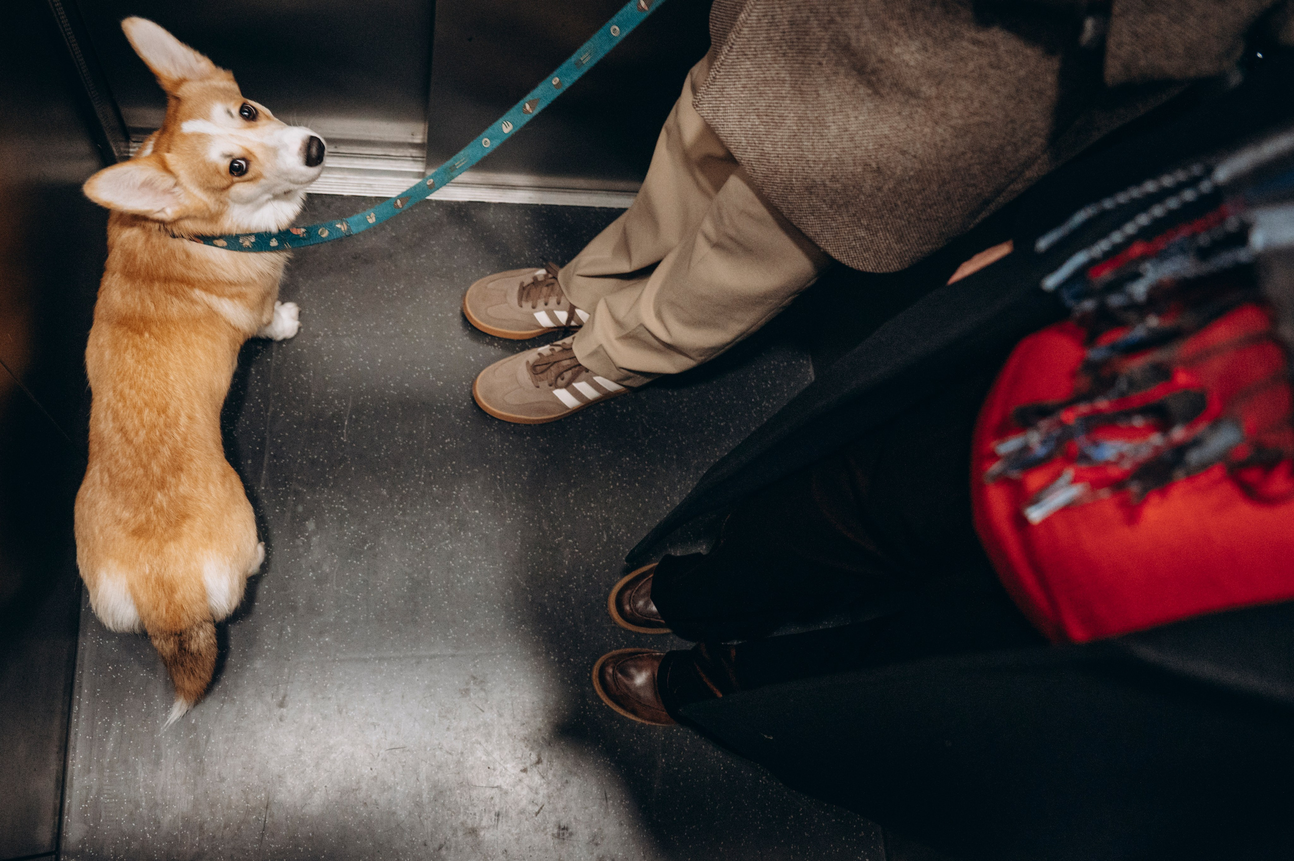 Anna & Kacper — Christmas miracle. Newborn, Family, Wedding photographer Copenhagen Anastasiia Sevriukova