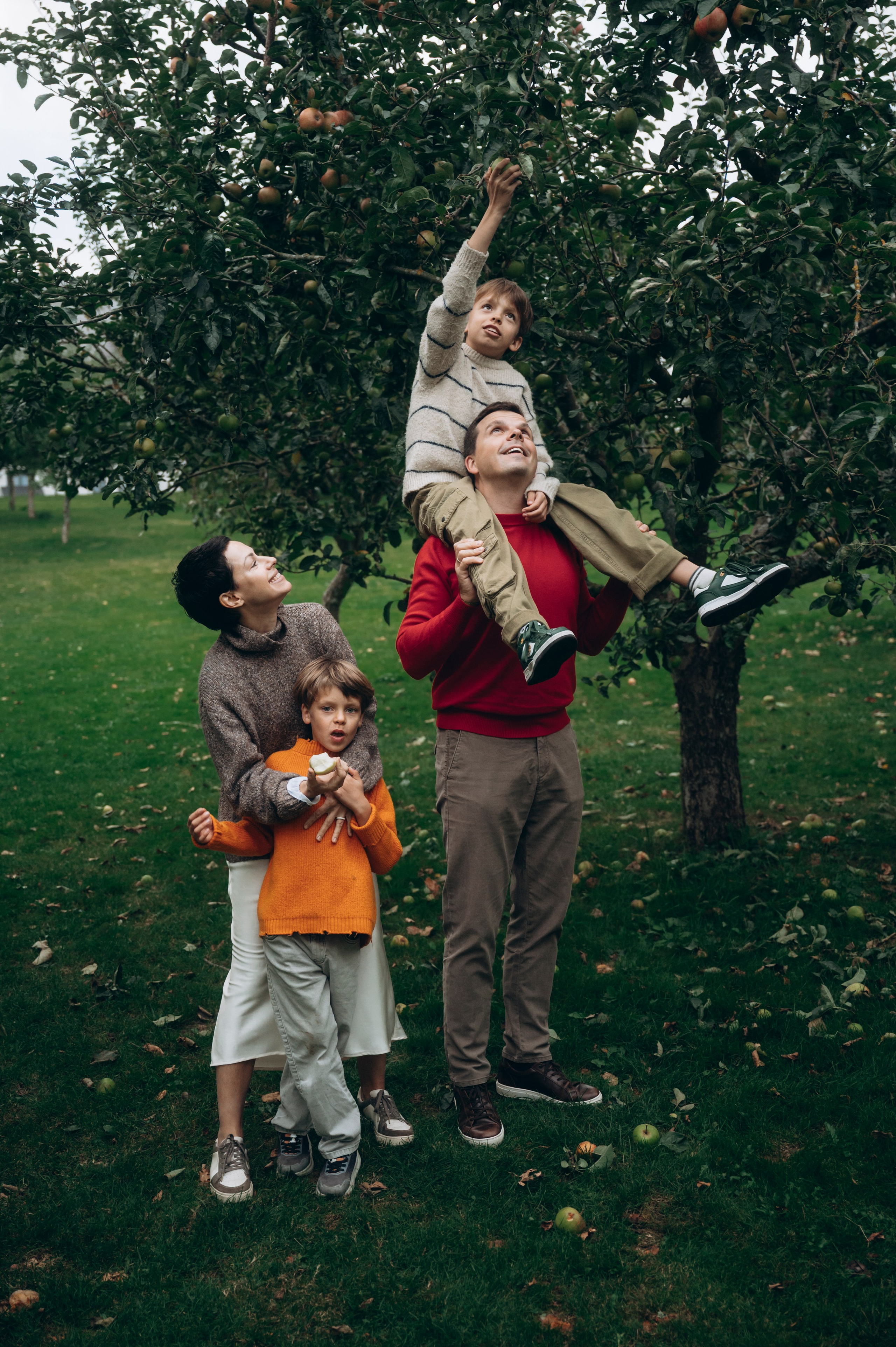 Apple season. Newborn, Family, Wedding photographer Copenhagen Anastasiia Sevriukova