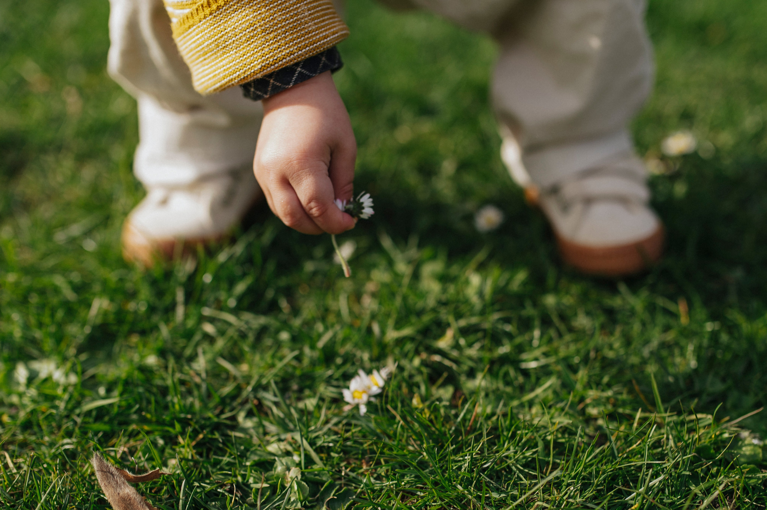 Robbie’s first spring. Nyfødt, Familie, Bryllupsfotograf Copenhagen Anastasiia Sevriukova