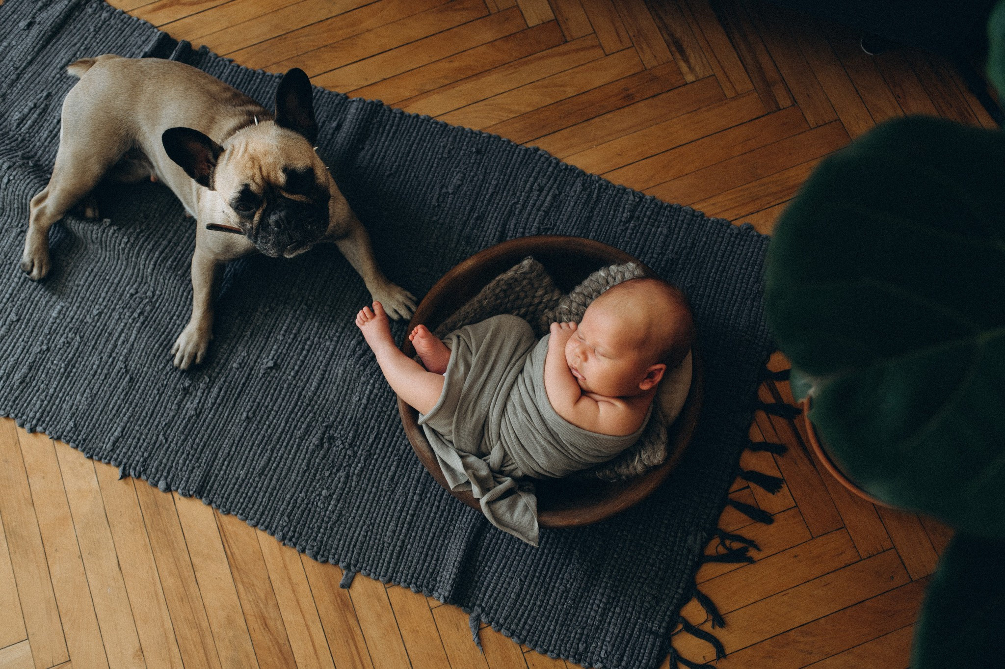 Timur. Nyfødt, Familie, Bryllupsfotograf Copenhagen Anastasiia Sevriukova