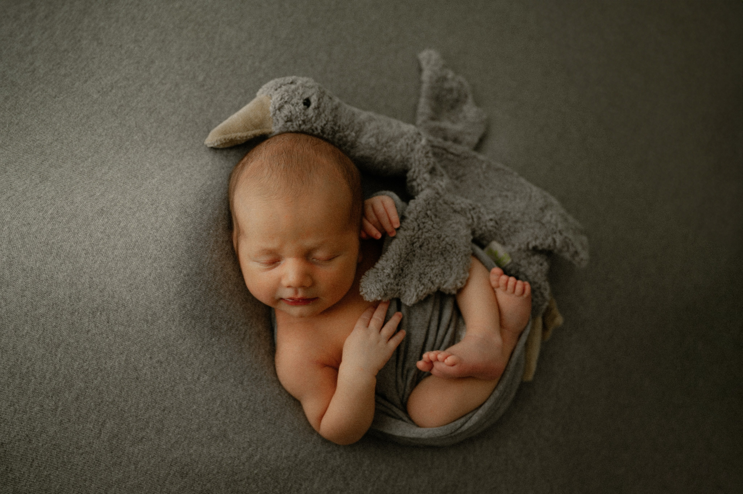 Nyfødt, Familie, Bryllupsfotograf Copenhagen Anastasiia Sevriukova