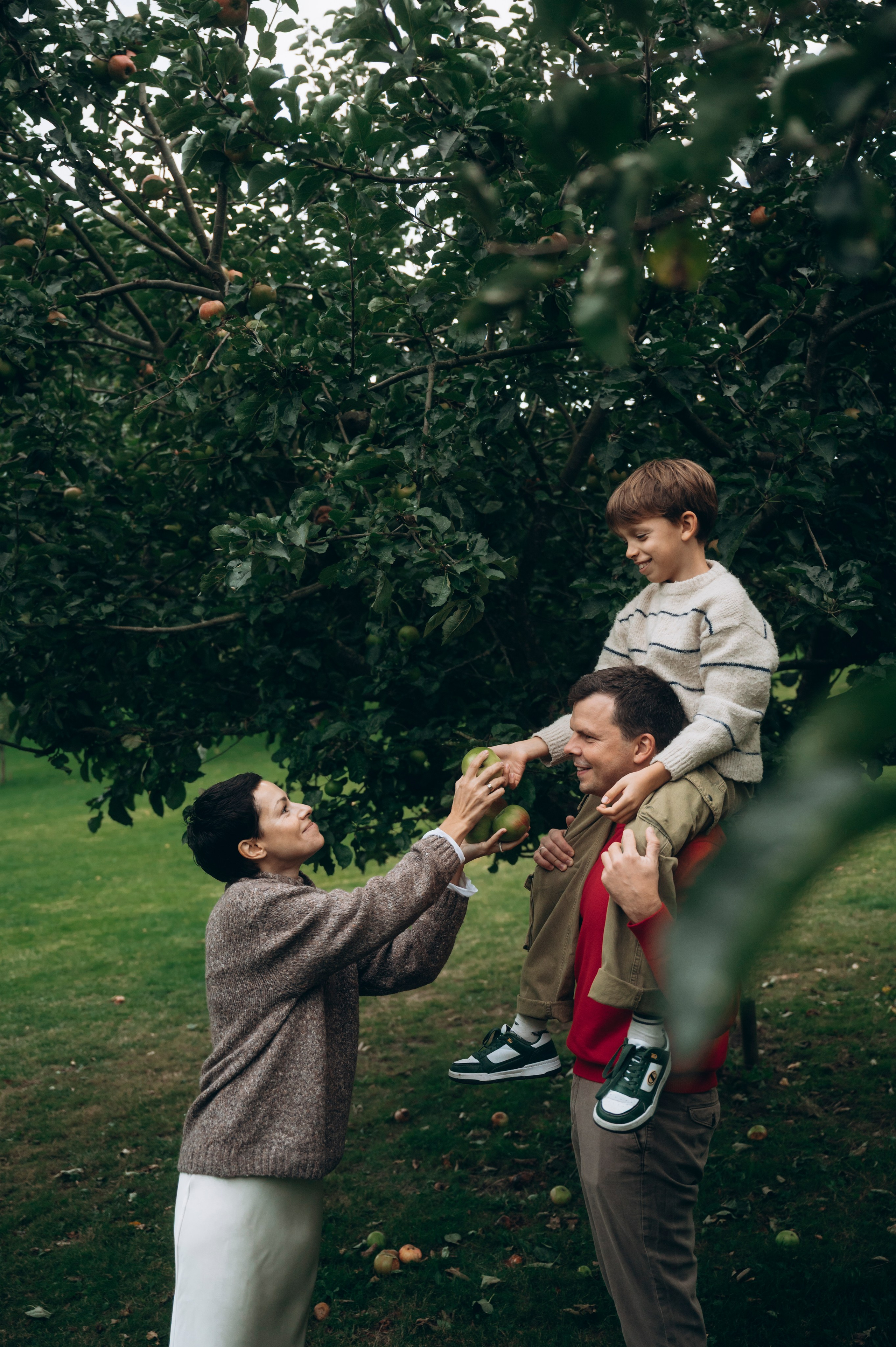 Apple season. Newborn, Family, Wedding photographer Copenhagen Anastasiia Sevriukova