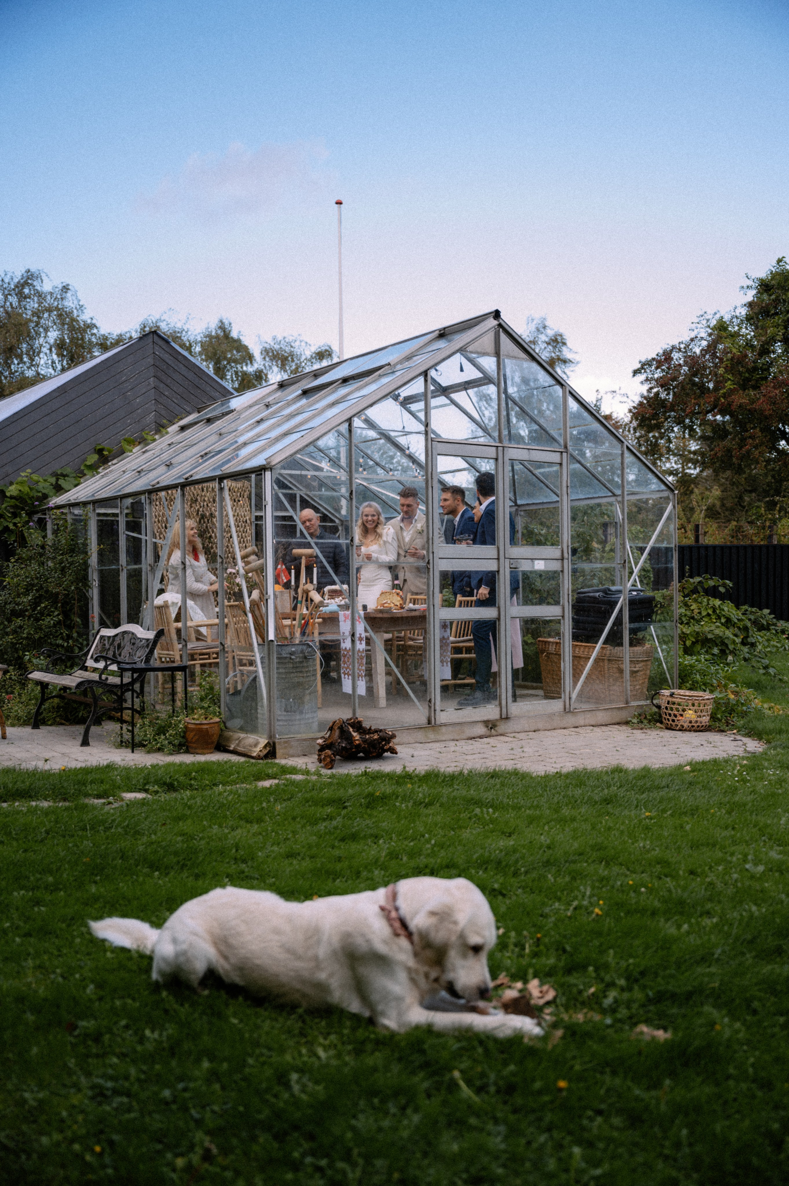 ALINA & MELVYN — Wedding photoshoot on ÆRØ island. Nyfødt, Familie, Bryllupsfotograf Copenhagen Anastasiia Sevriukova