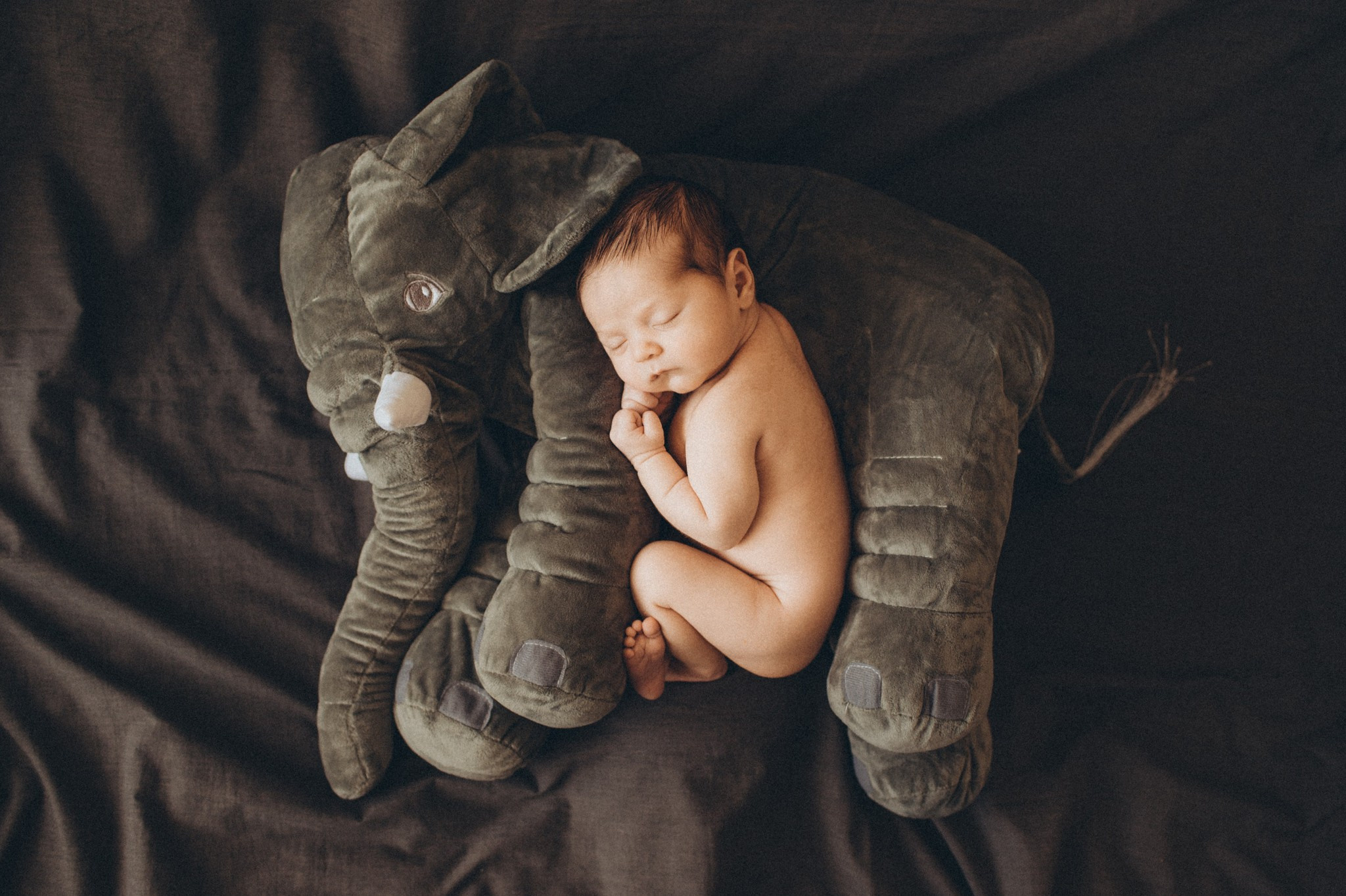 Leonard. Newborn, Family, Wedding photographer Copenhagen Anastasiia Sevriukova