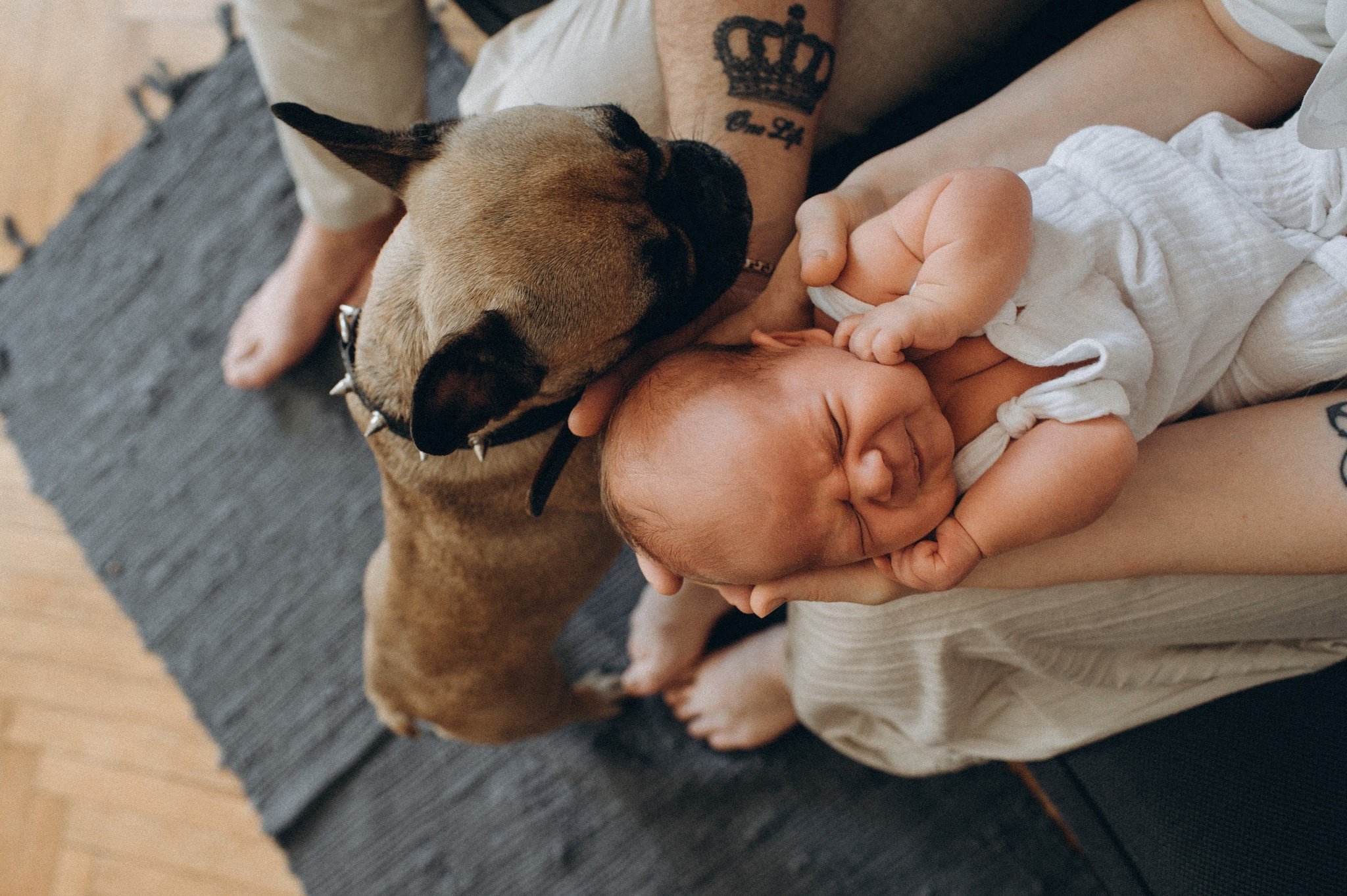 Timur. Nyfødt, Familie, Bryllupsfotograf Copenhagen Anastasiia Sevriukova