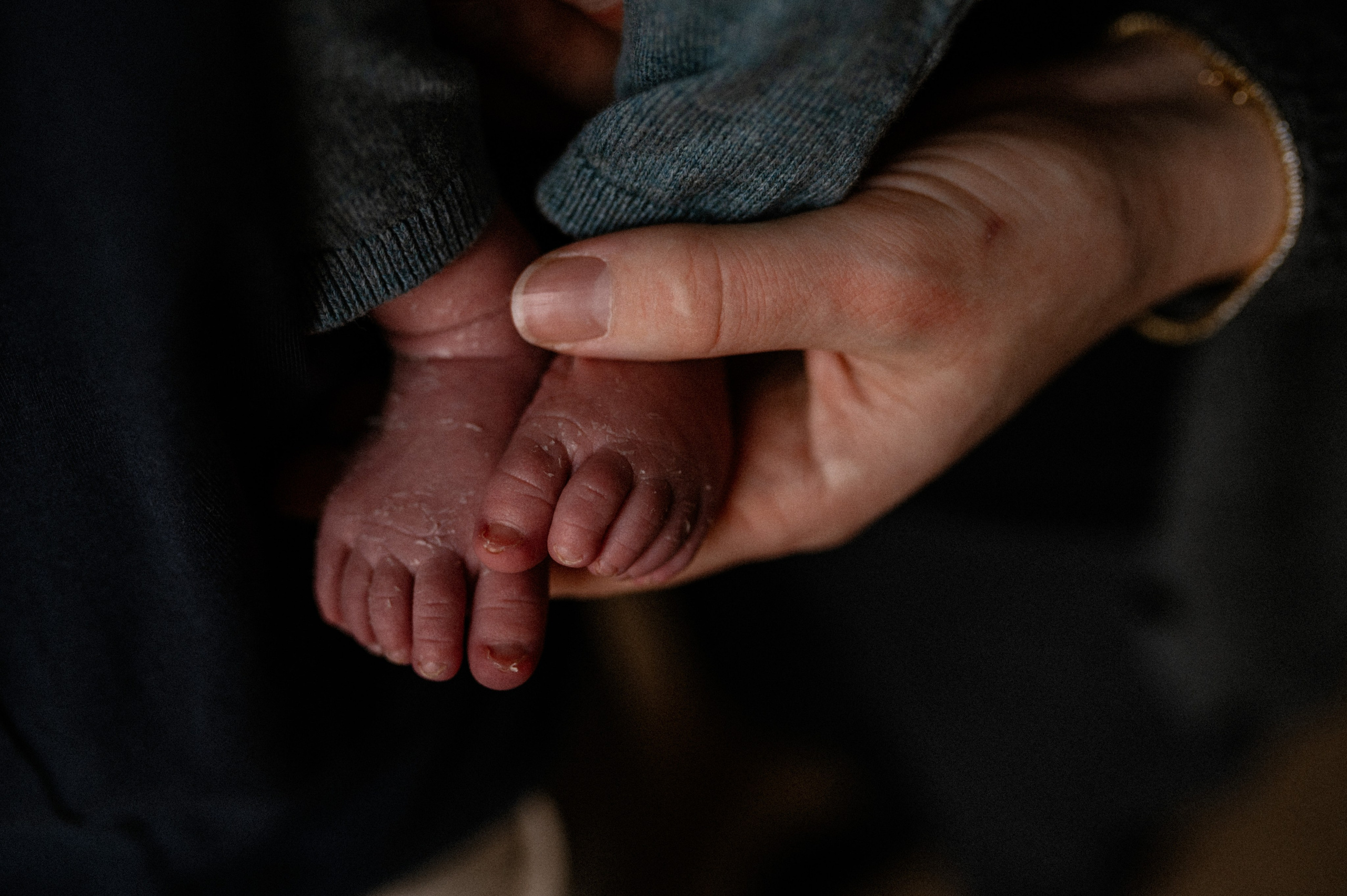 Little William. Nyfødt, Familie, Bryllupsfotograf Copenhagen Anastasiia Sevriukova