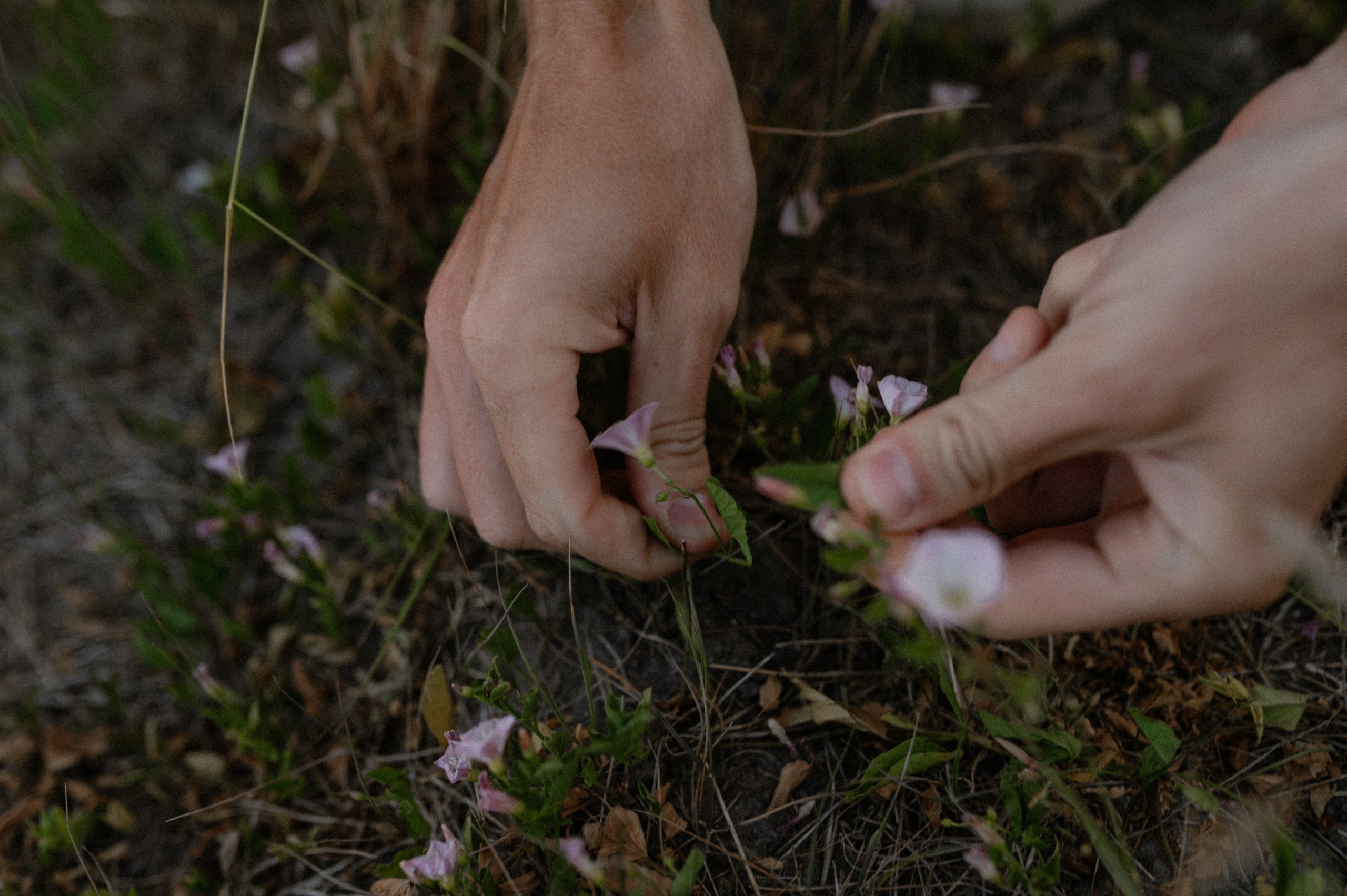 Grace- Outdoors pregnancy story. Nyfødt, Familie, Bryllupsfotograf Copenhagen Anastasiia Sevriukova