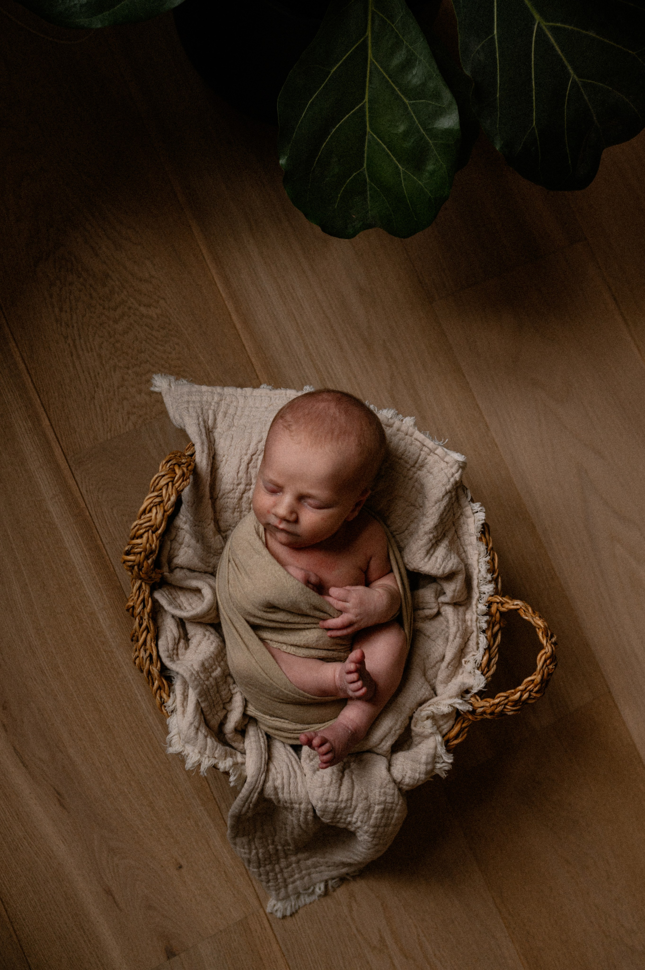 Little William. Nyfødt, Familie, Bryllupsfotograf Copenhagen Anastasiia Sevriukova