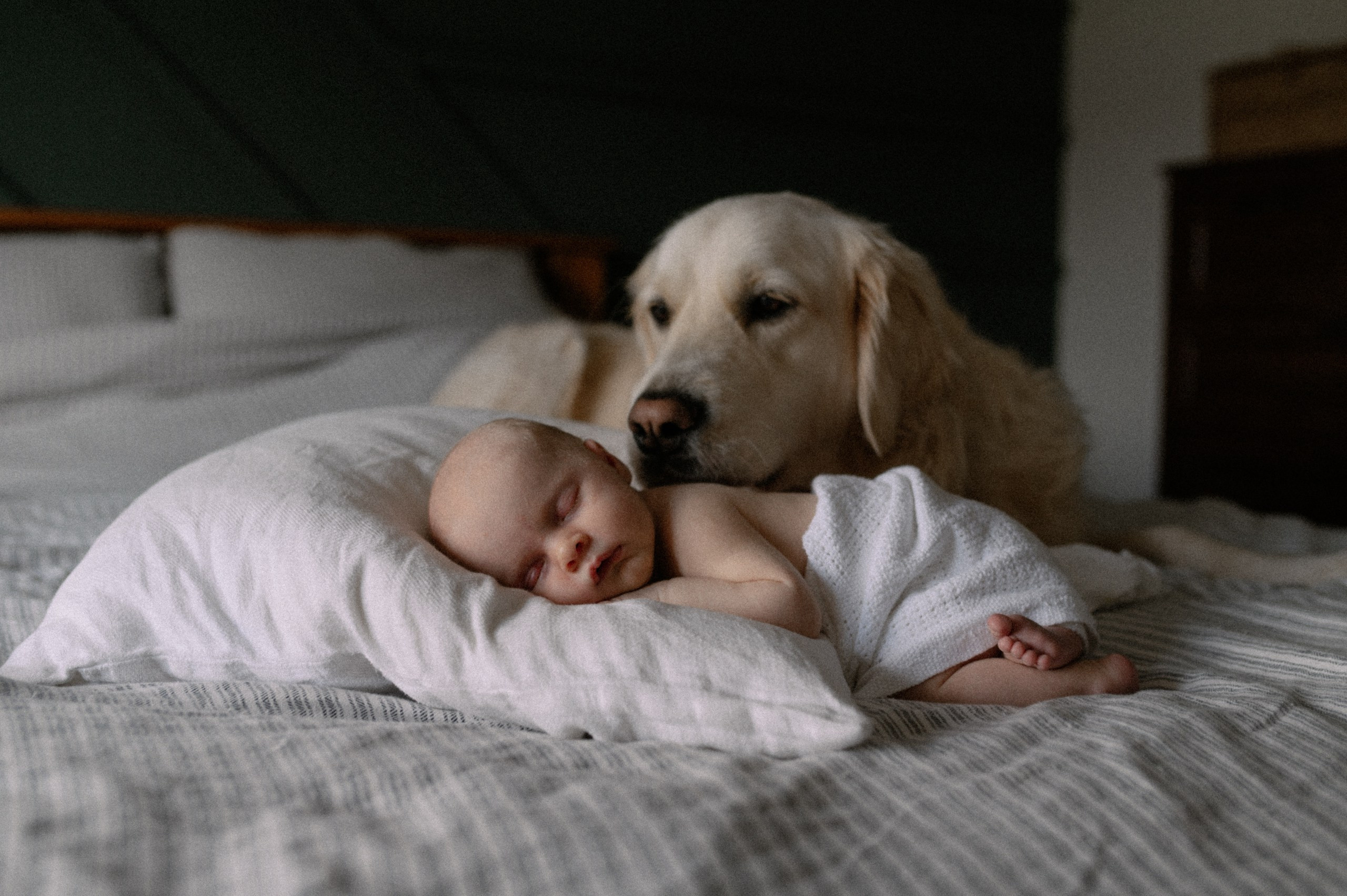 nyfødt Fotograf København 