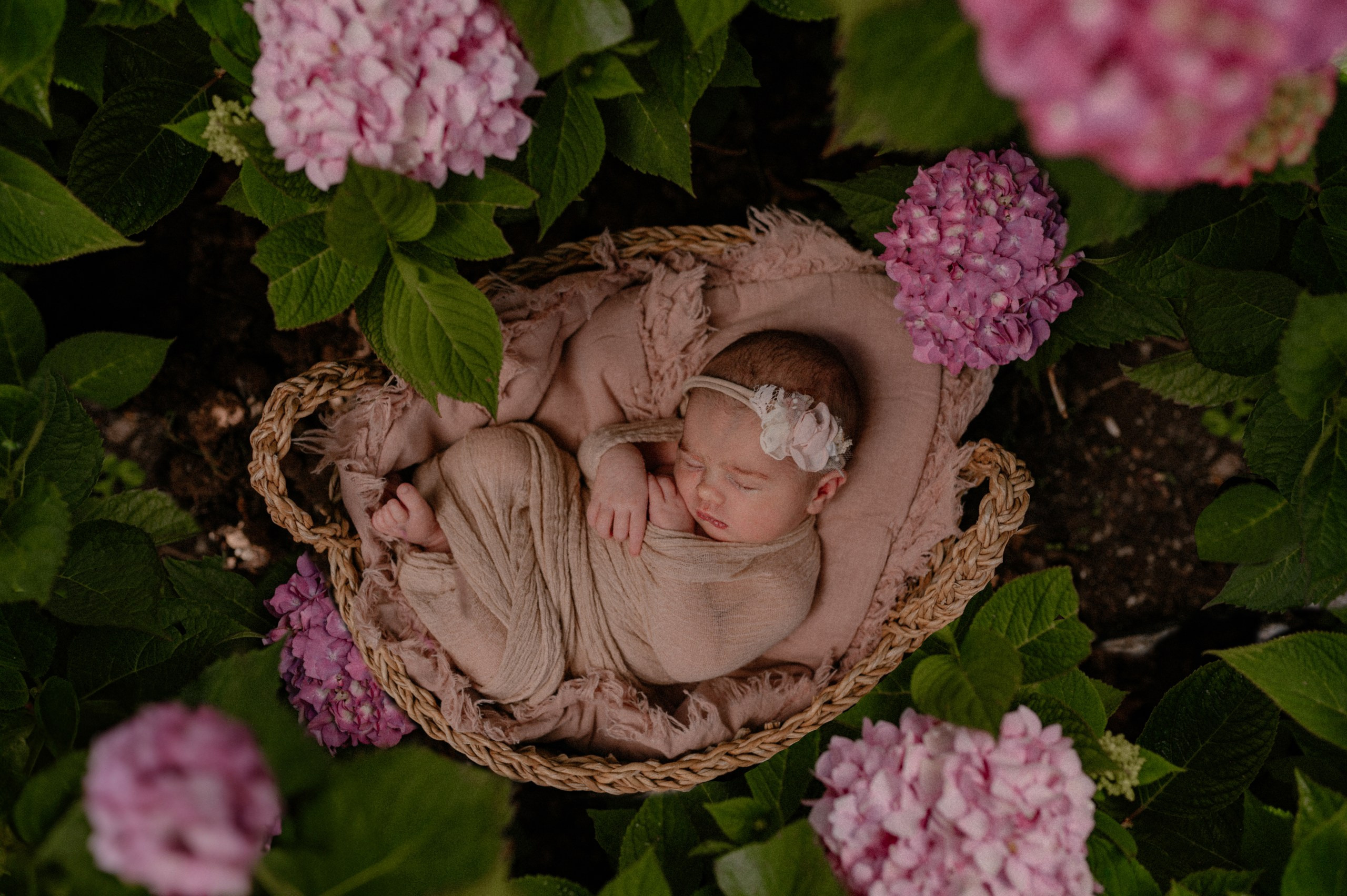 Lucia and two sisters. Nyfødt, Familie, Bryllupsfotograf Copenhagen Anastasiia Sevriukova