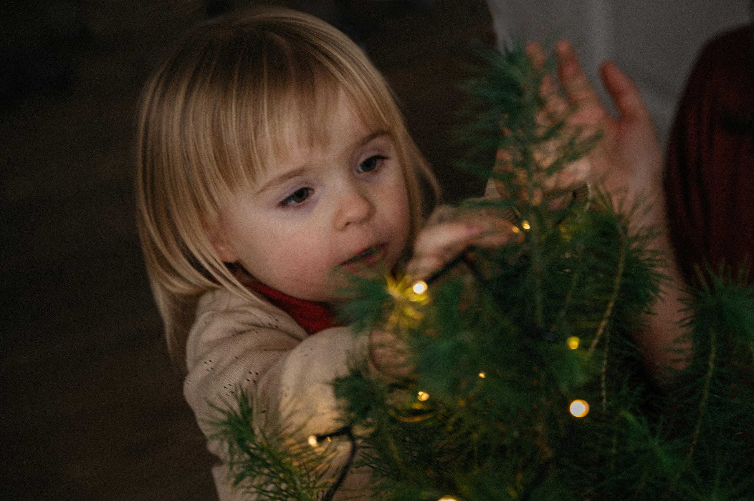 Christmas photosession in Copenhagen photostudio. Newborn, Family, Wedding photographer Copenhagen Anastasiia Sevriukova
