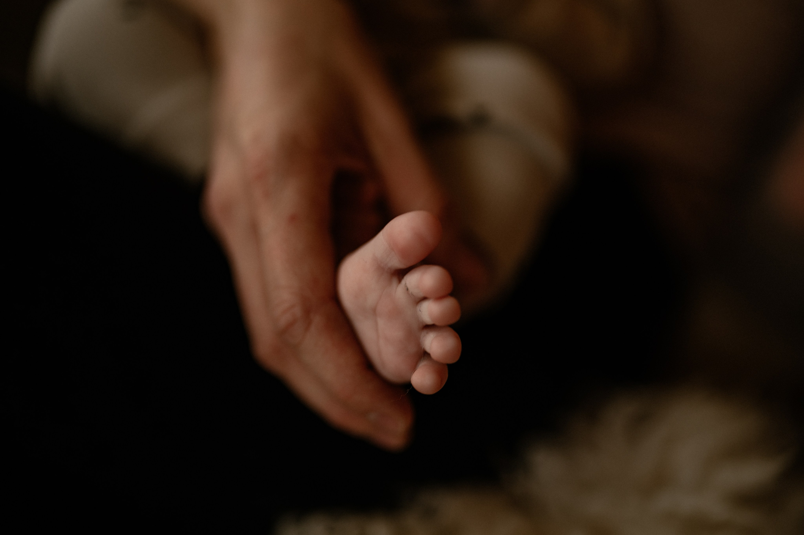 Flora & Dagmar. Nyfødt, Familie, Bryllupsfotograf Copenhagen Anastasiia Sevriukova