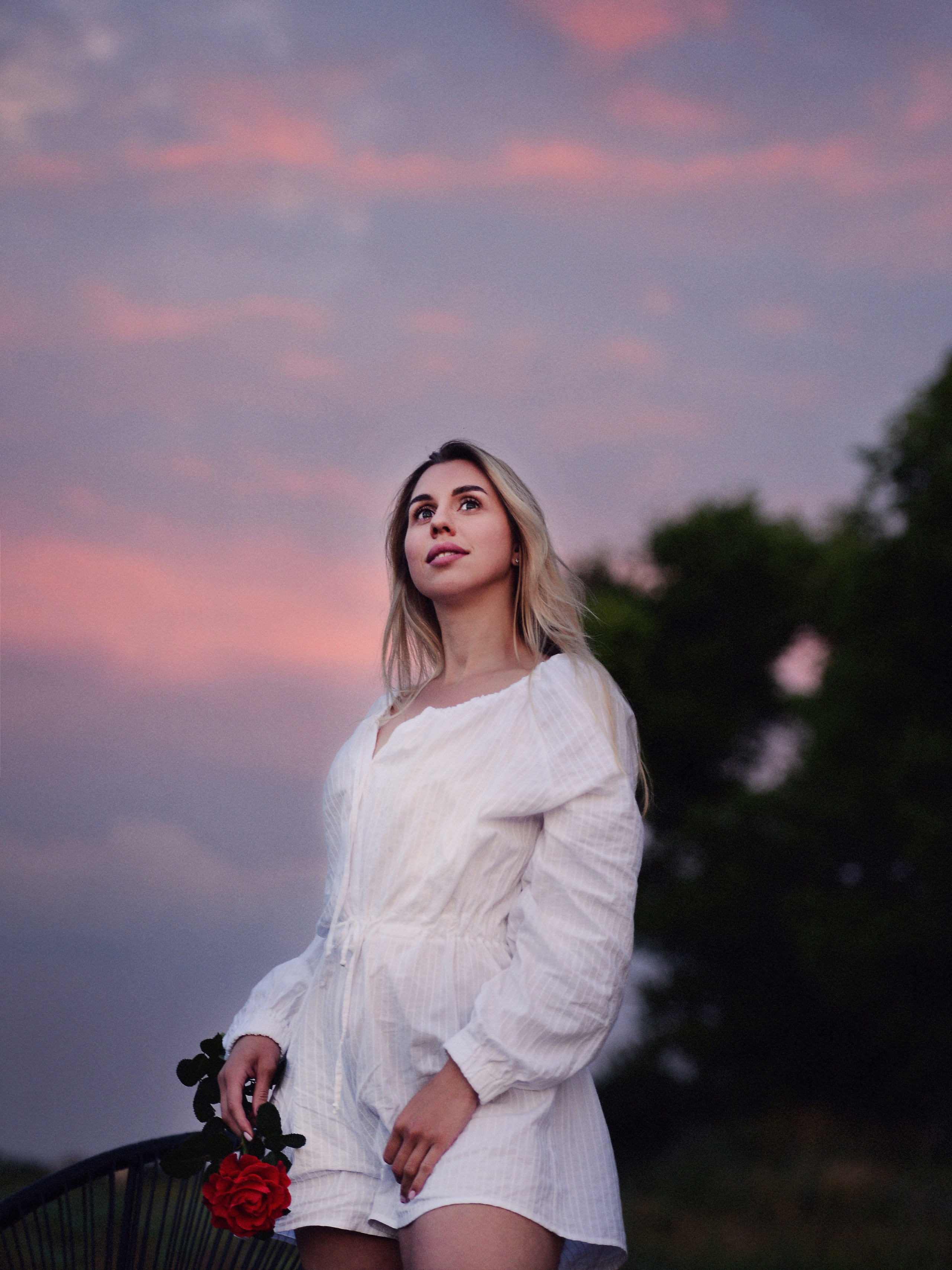 Нежная роза. Фотограф Натали Кошевая _ Днепр, Подгородное